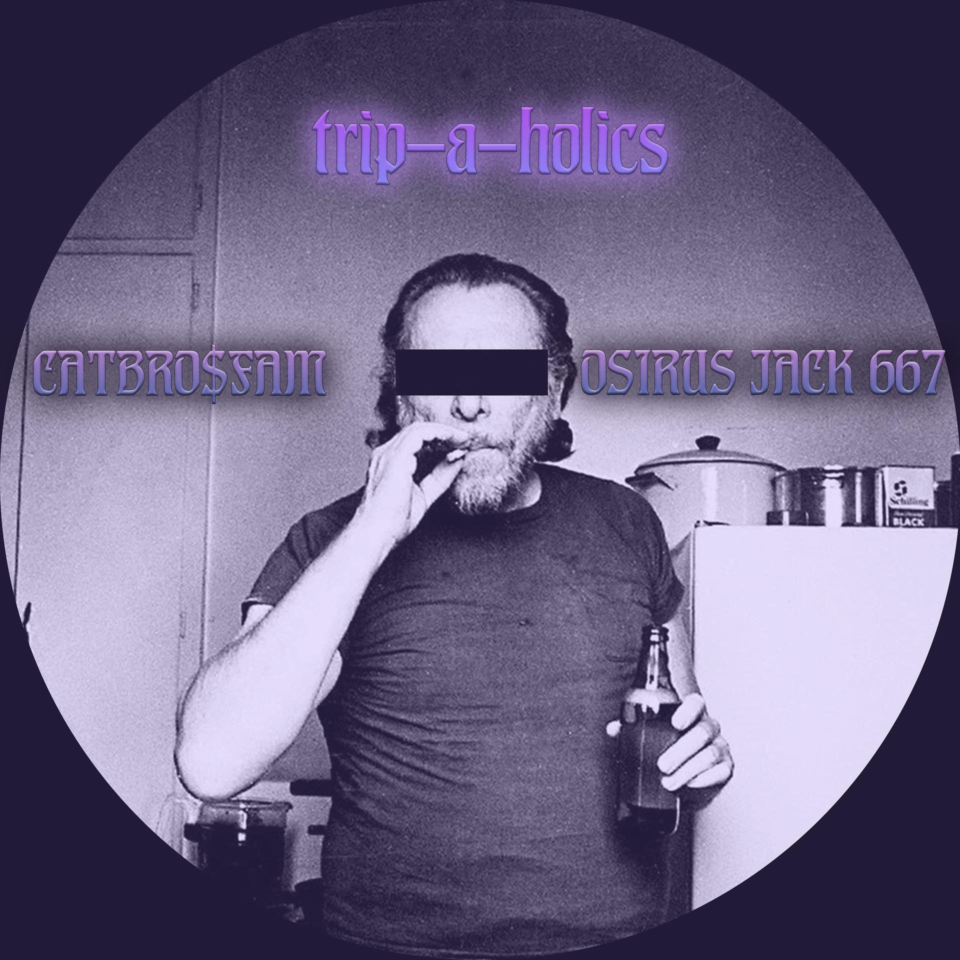 Постер альбома Trip-a-Holics