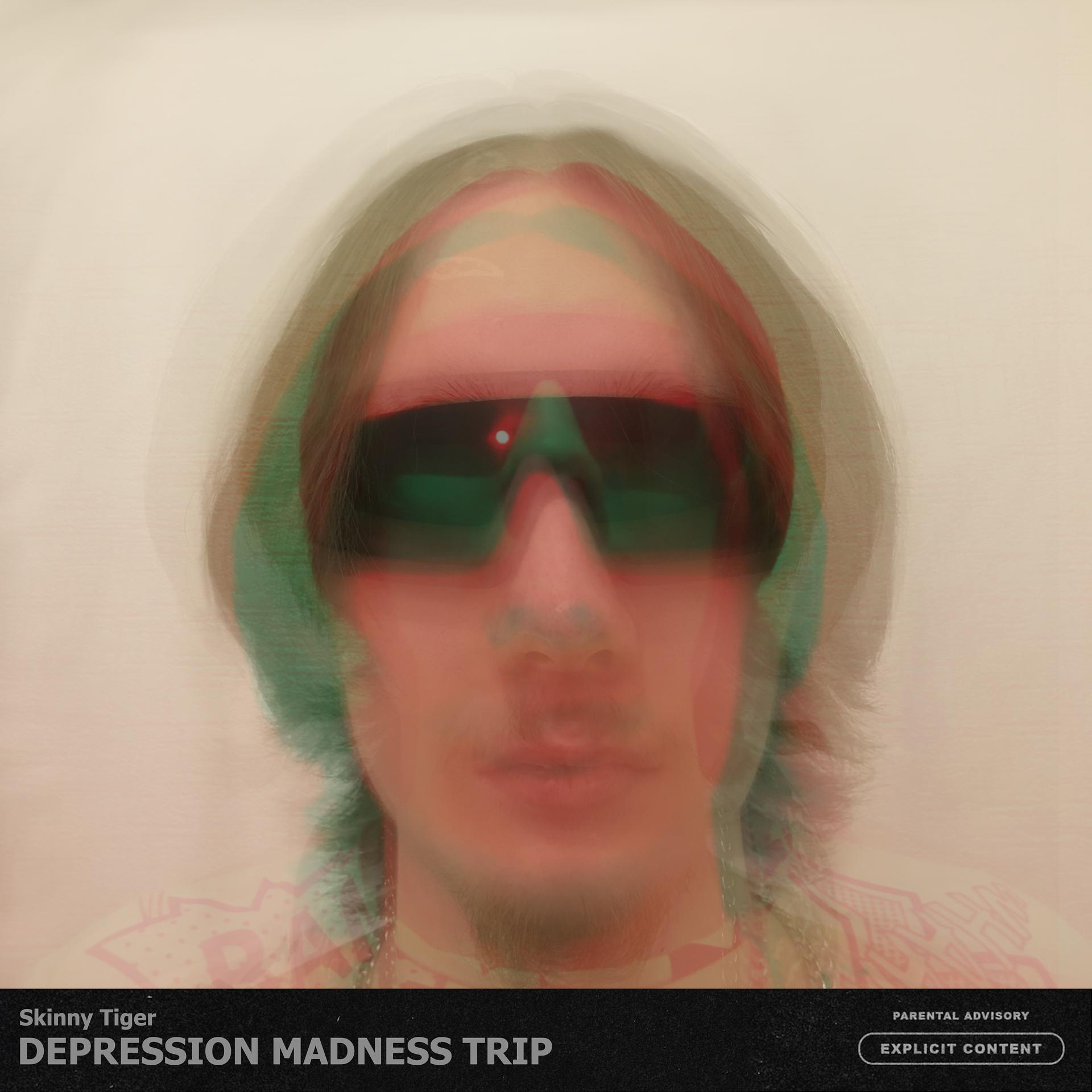 Постер альбома Depression Madness Trip