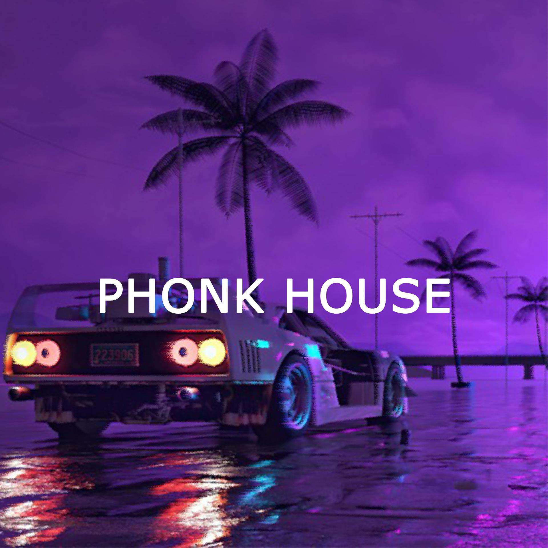 Постер альбома PHONK HOUSE