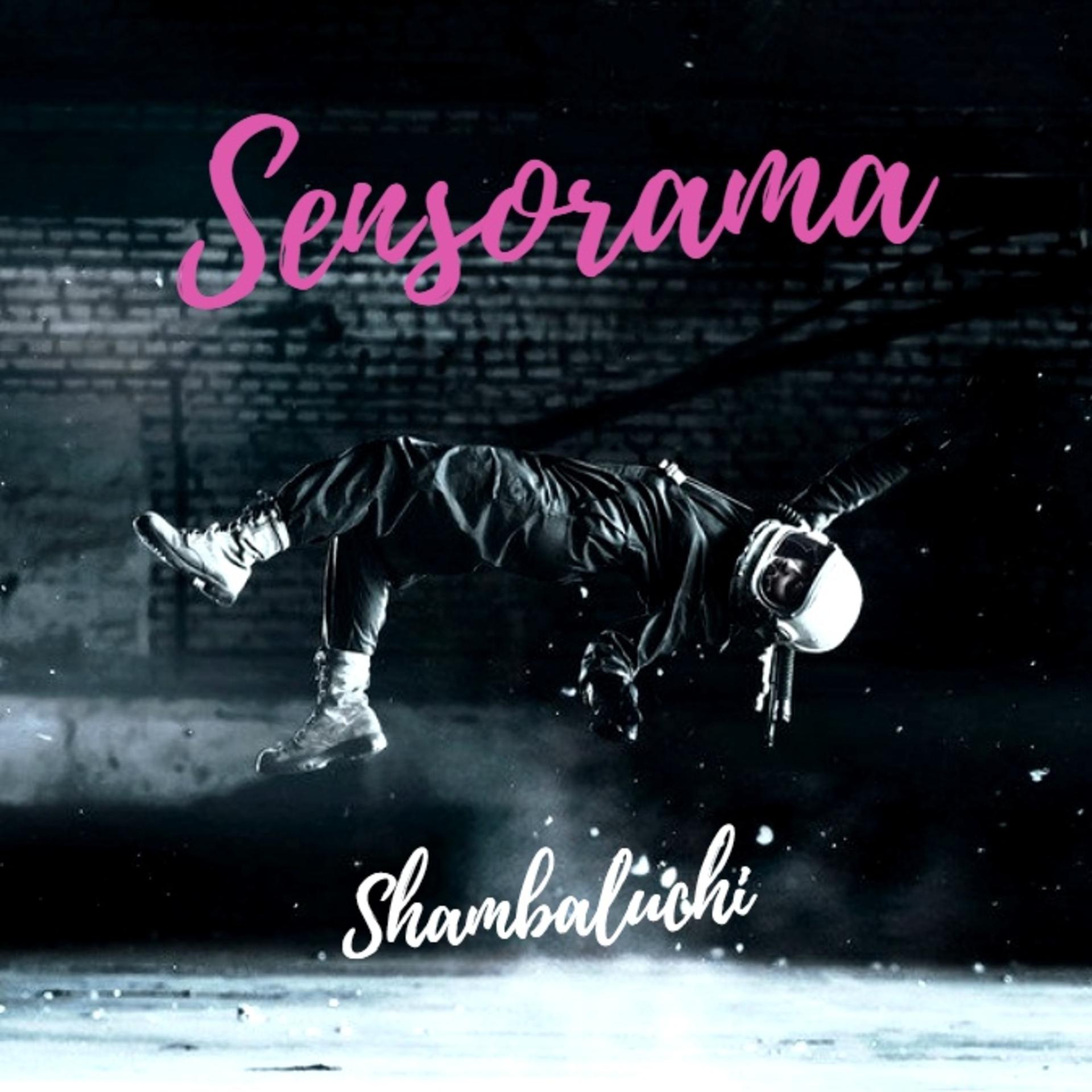 Постер альбома Sensorama
