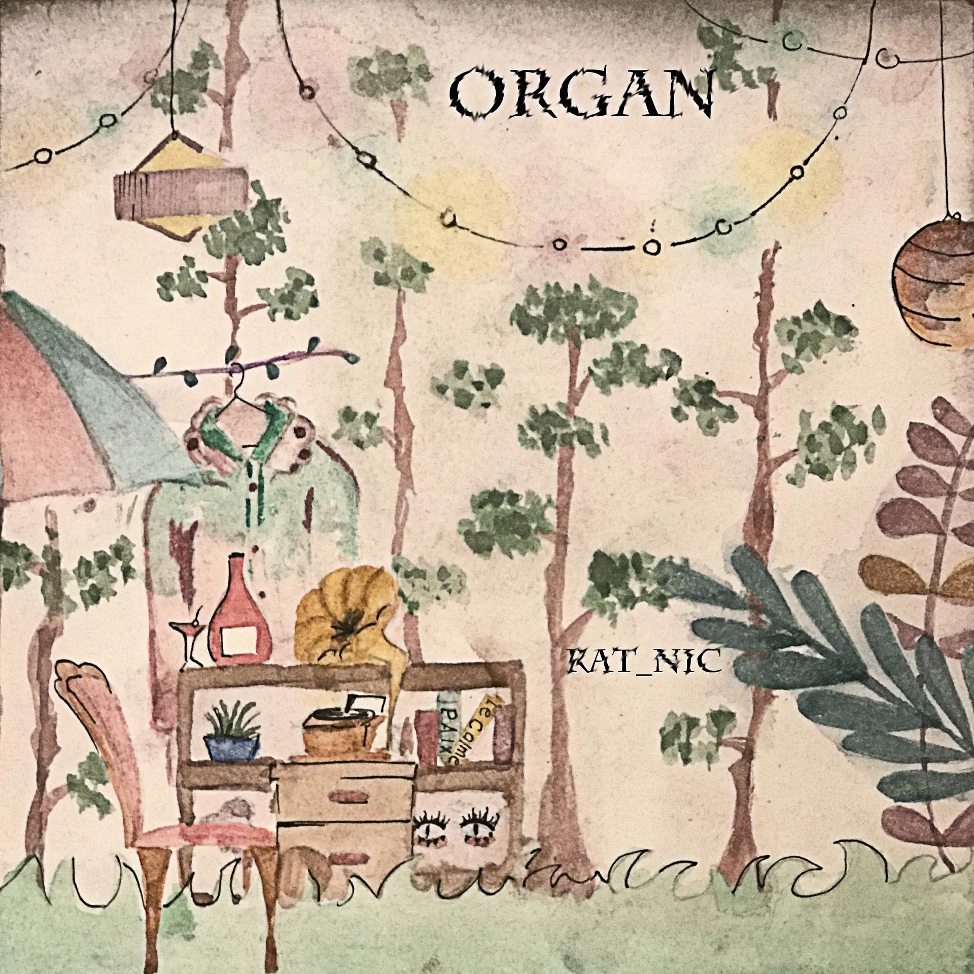 Постер альбома Organ