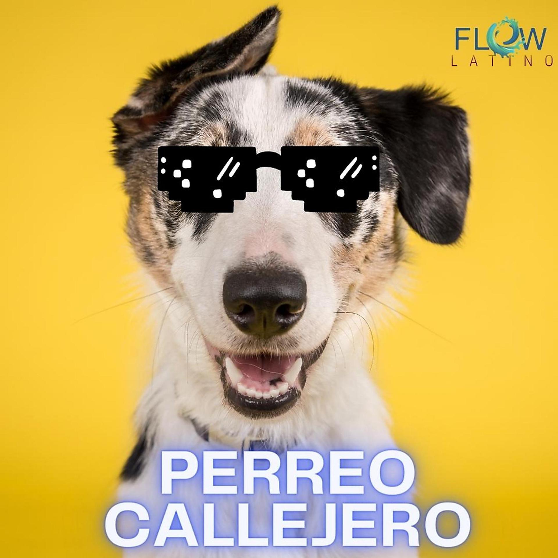 Постер альбома Perreo Callejero