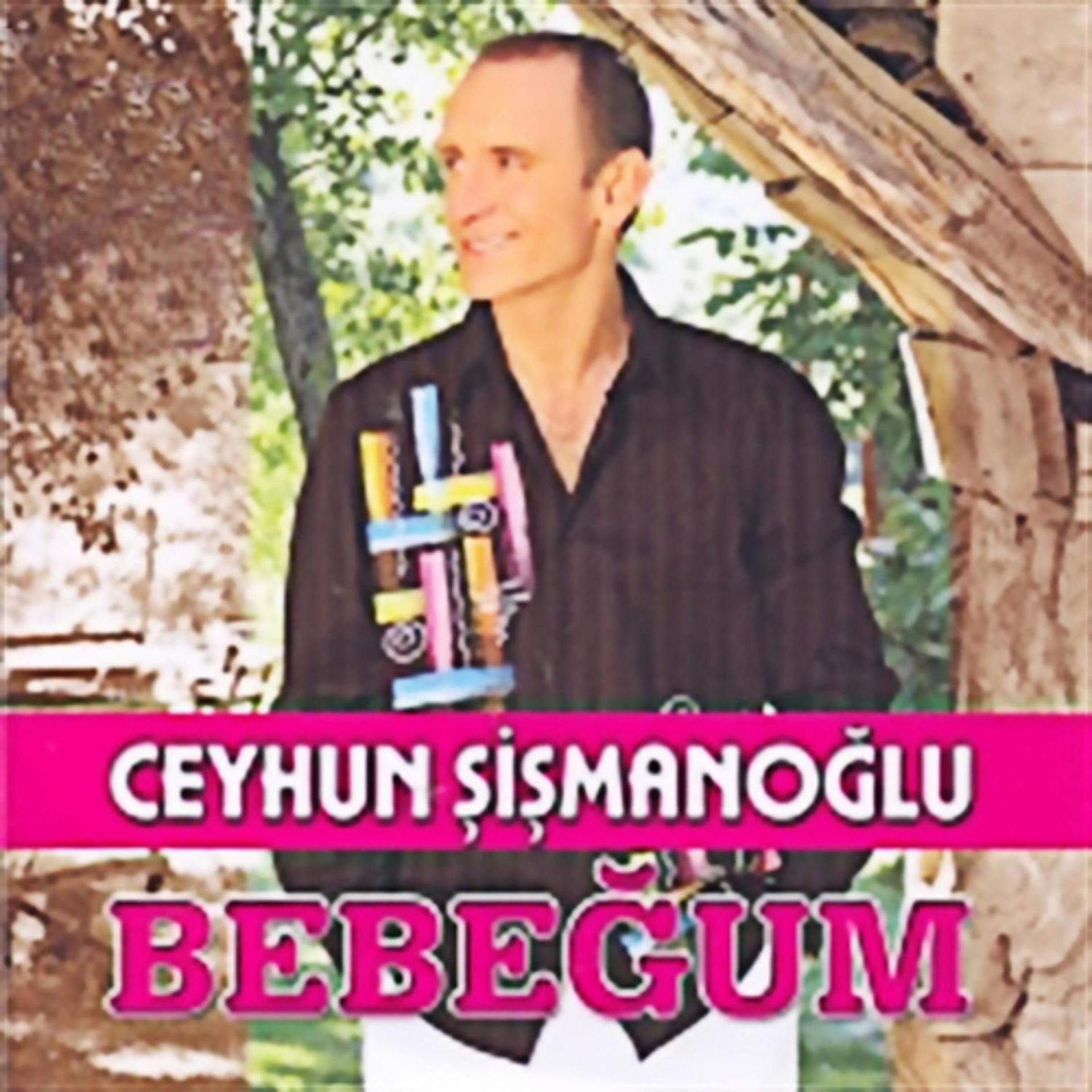 Постер альбома Bebeğum