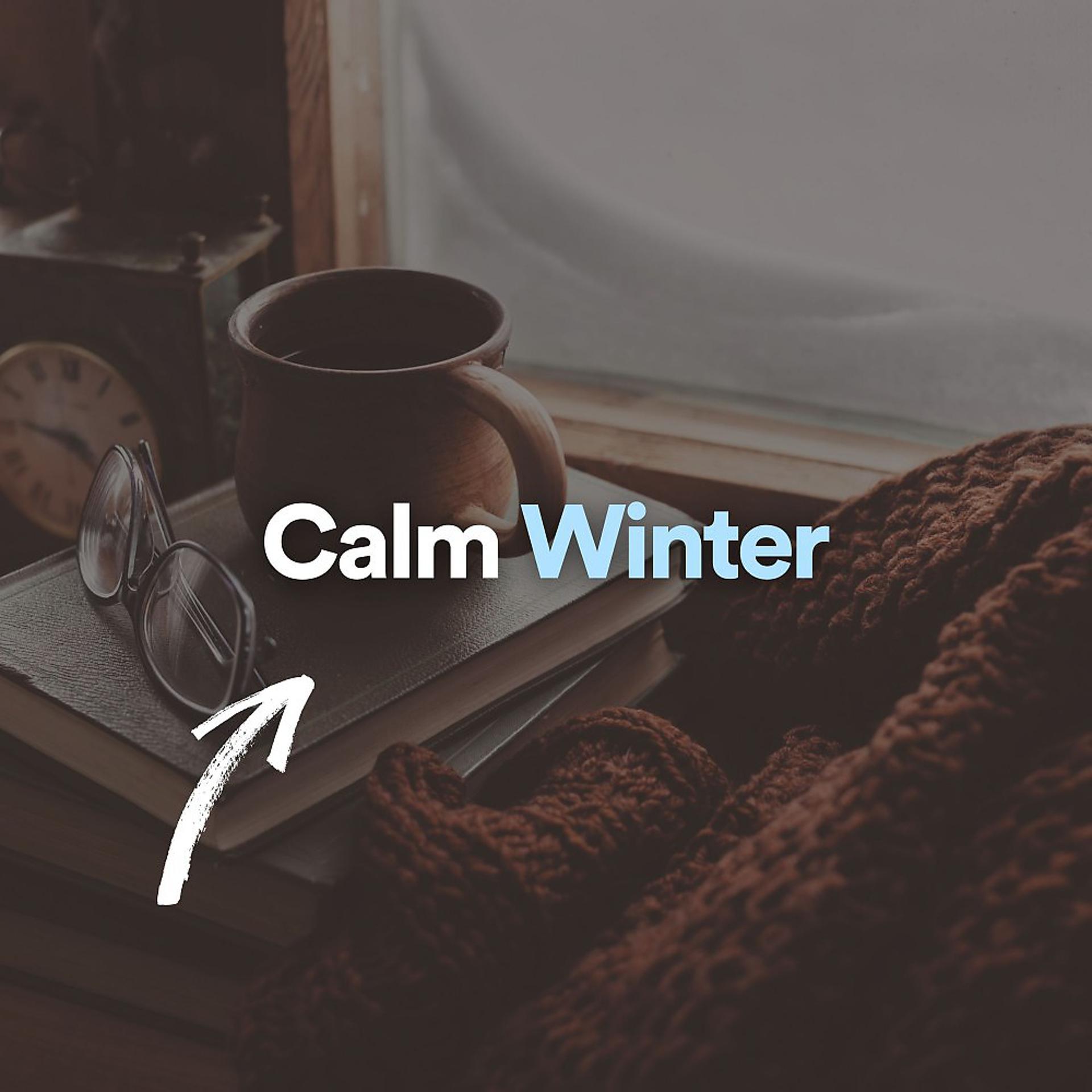 Постер альбома Calm Winter