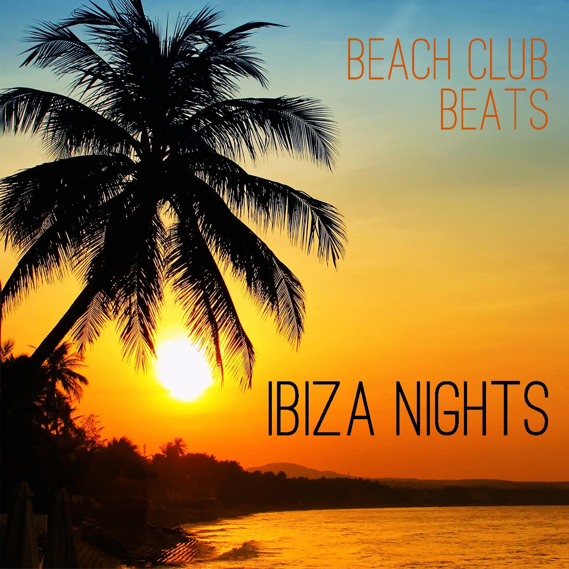 Постер альбома Ibiza Nights