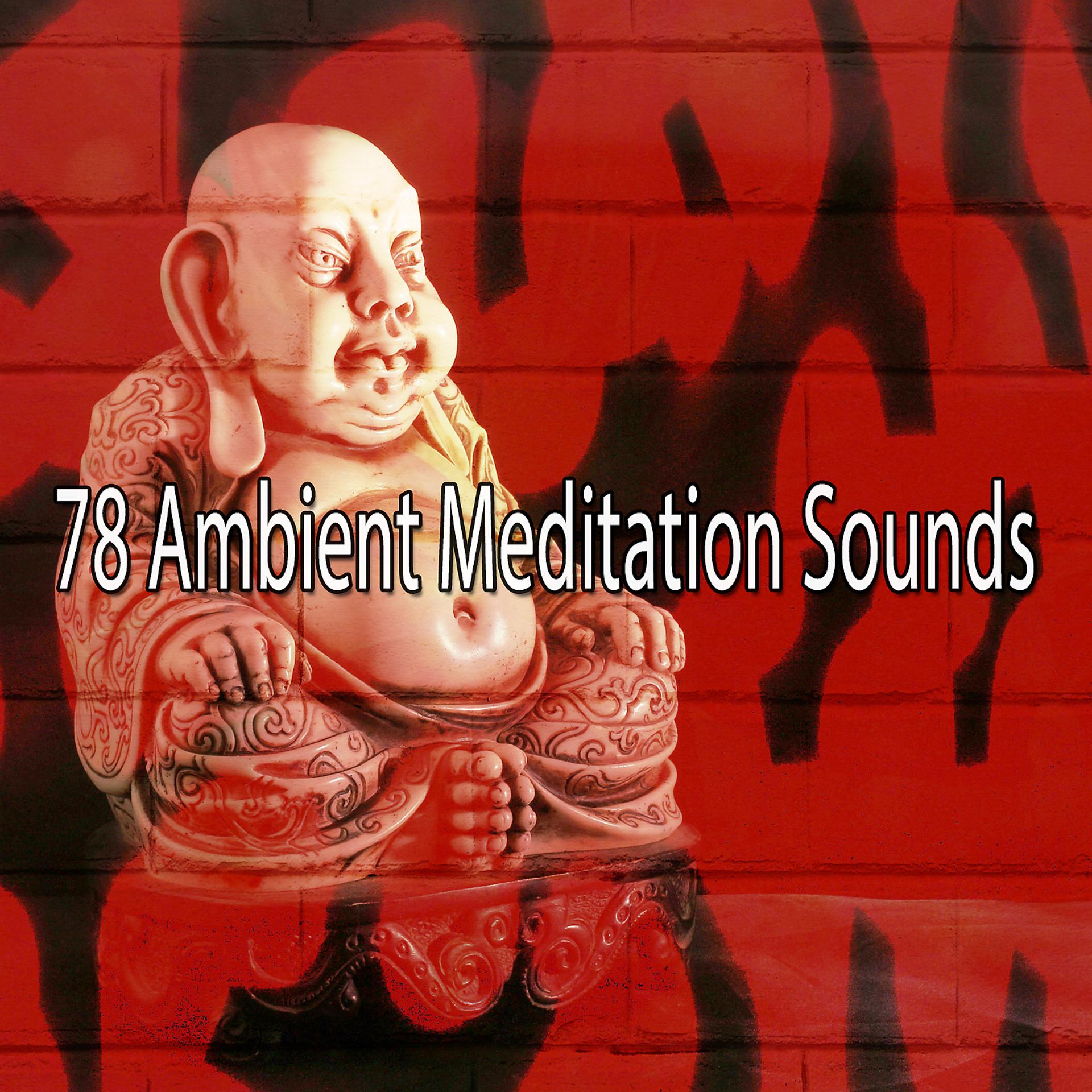 Постер альбома 78 звуков окружающей среды для медитации