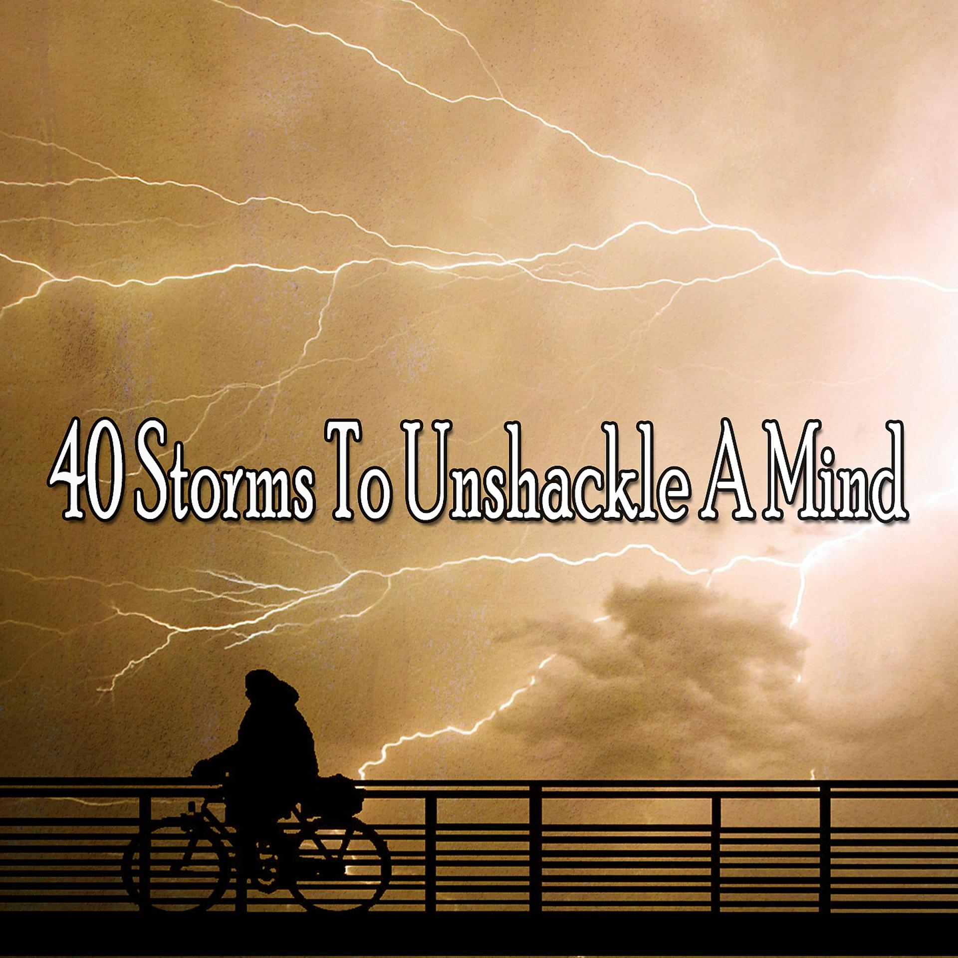 Постер альбома 40 бурь, чтобы освободить разум