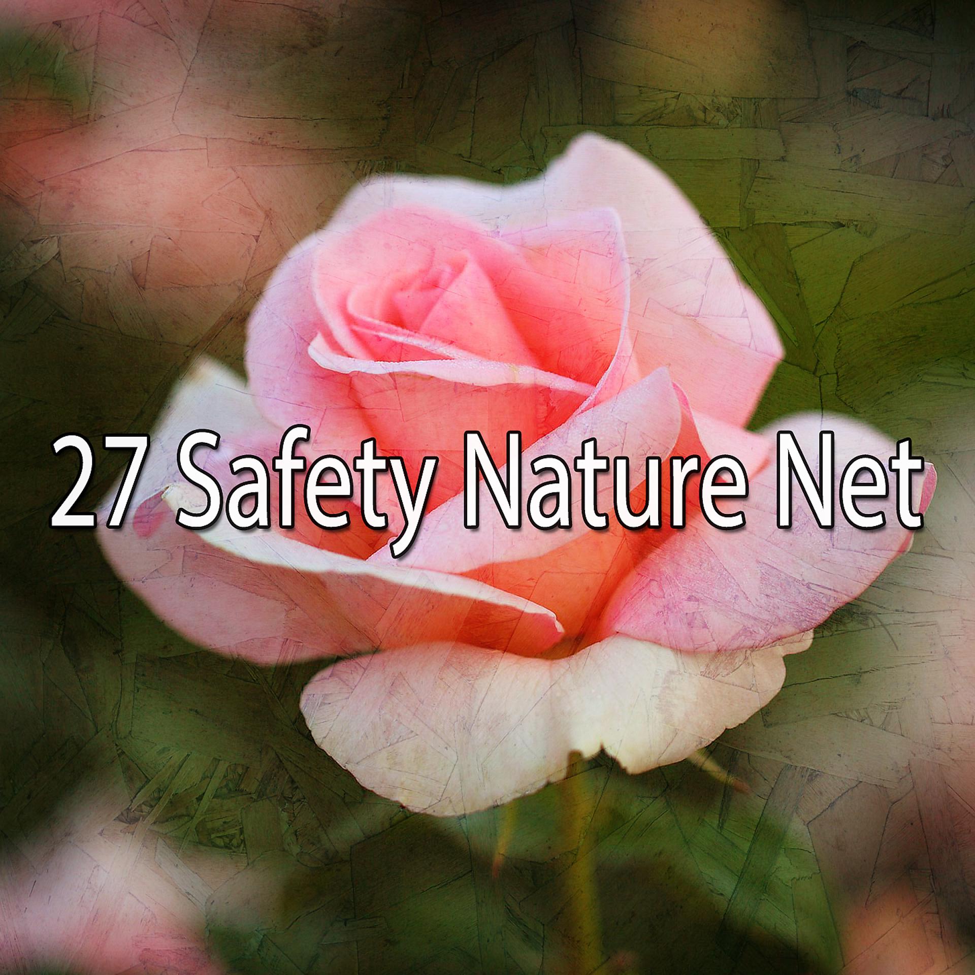 Постер альбома 27 Безопасность Nature Net