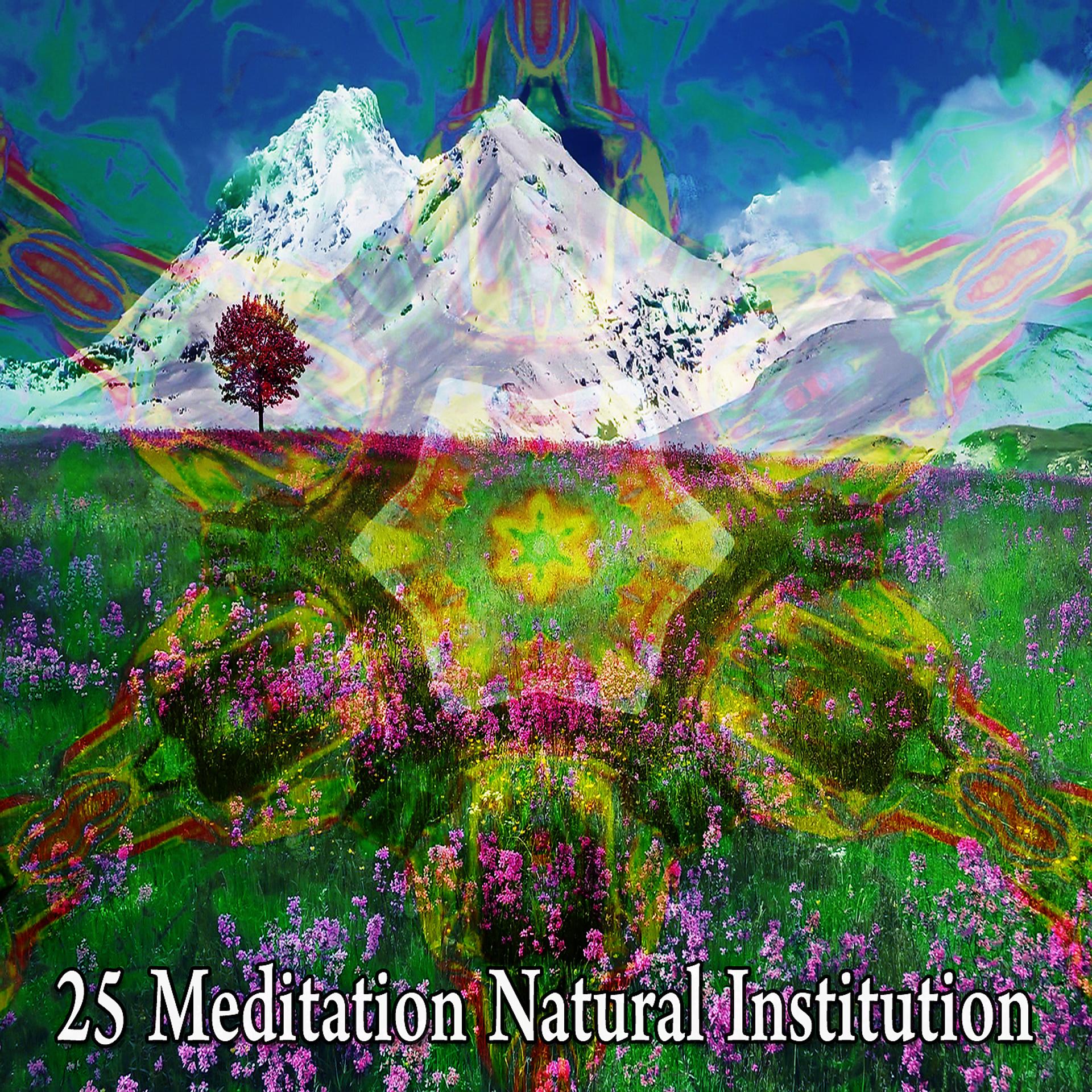 Постер альбома 25 Медитация Природного Учреждения