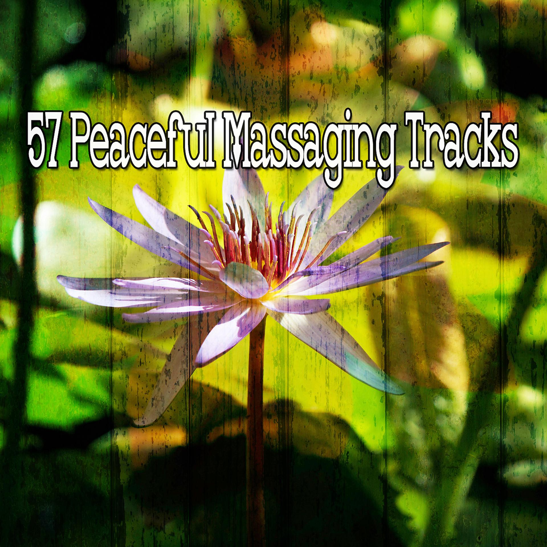 Постер альбома 57 треков мирного массажа