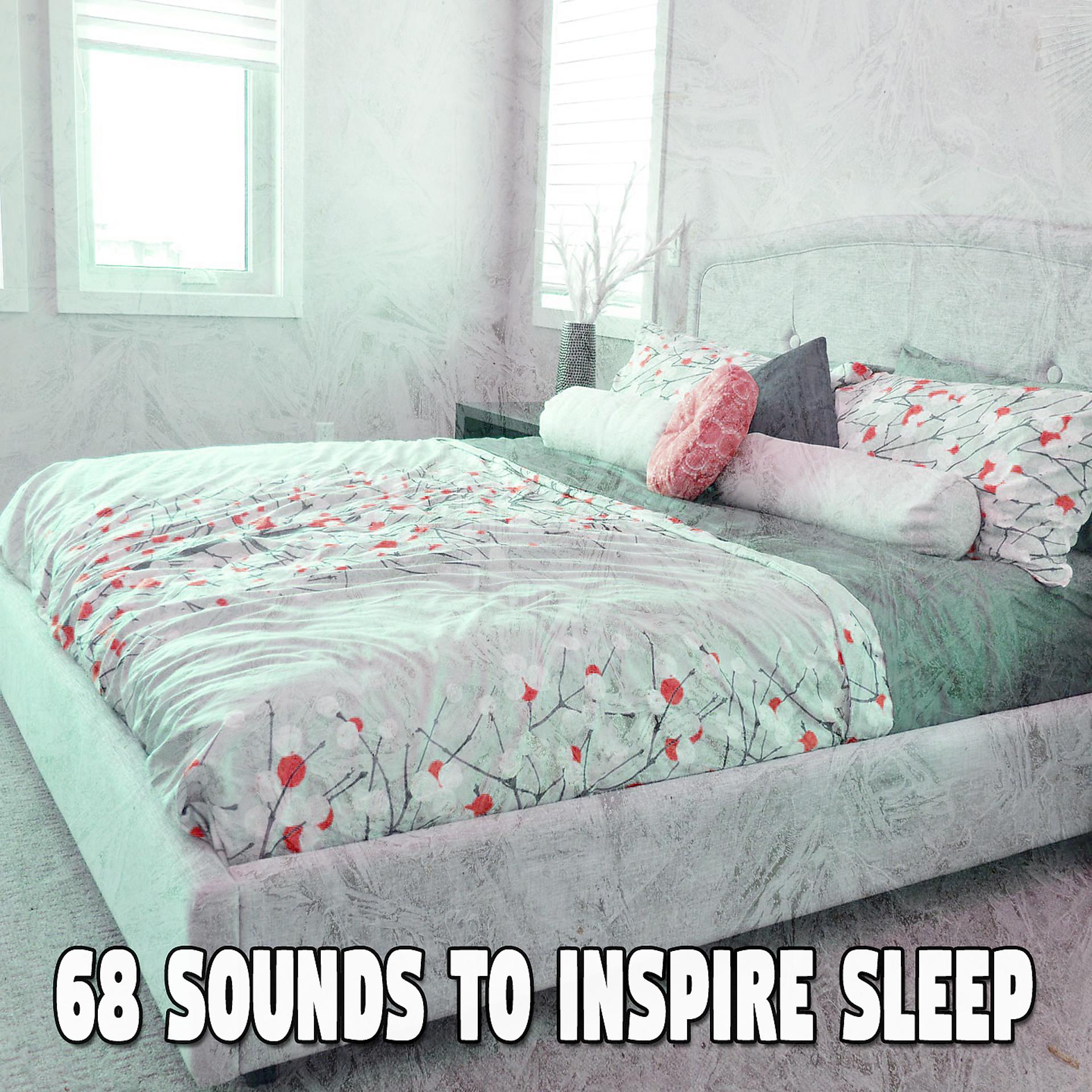 Постер альбома 68 звуков, пробуждающих сон