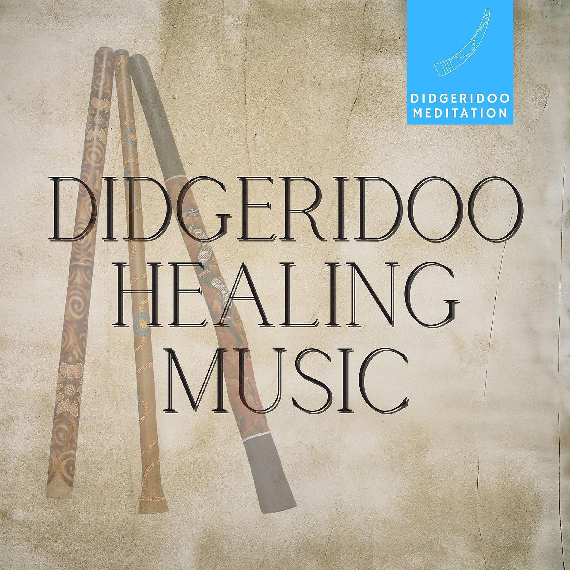 Постер альбома Didgeridoo Healing Music