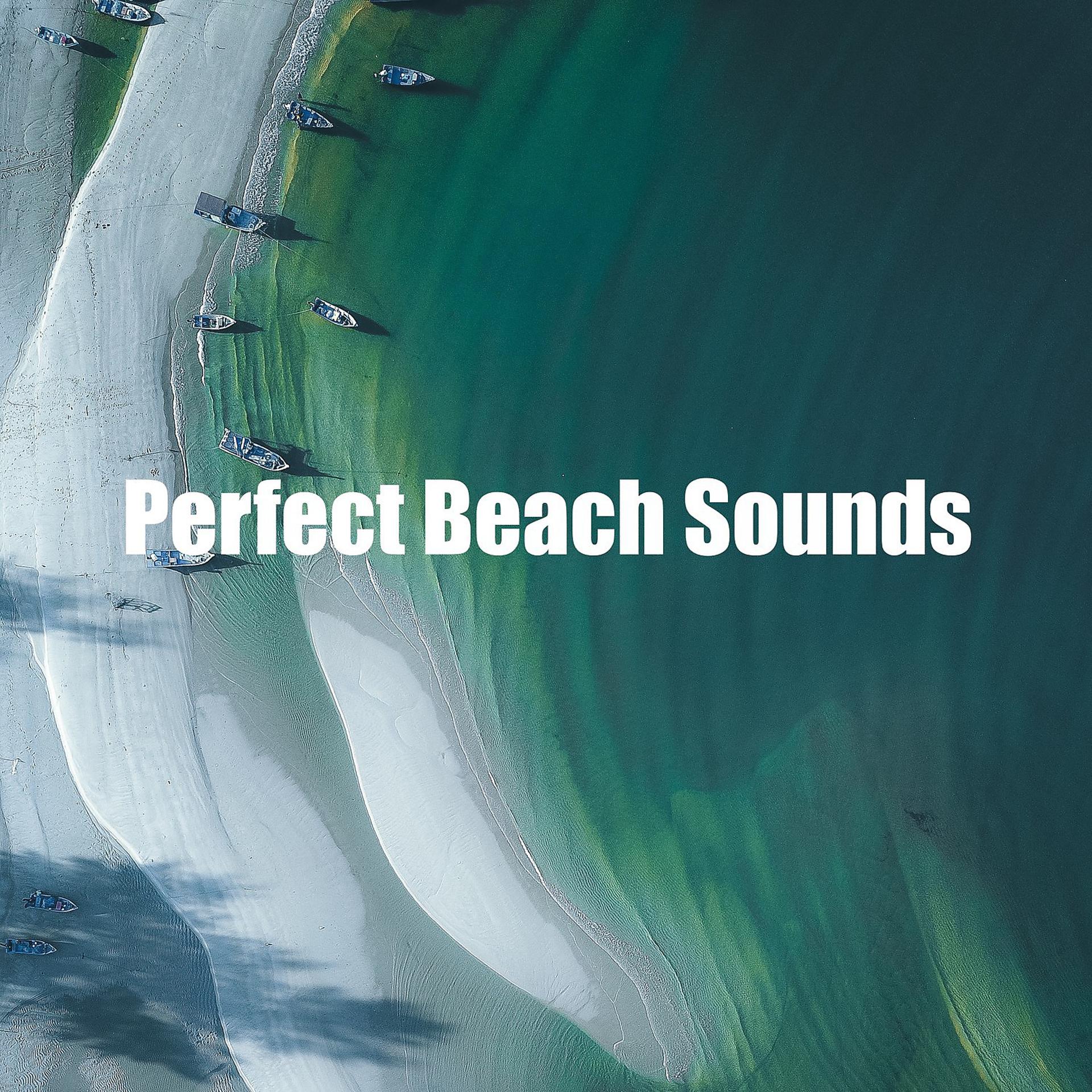 Постер альбома Perfect Beach Sounds