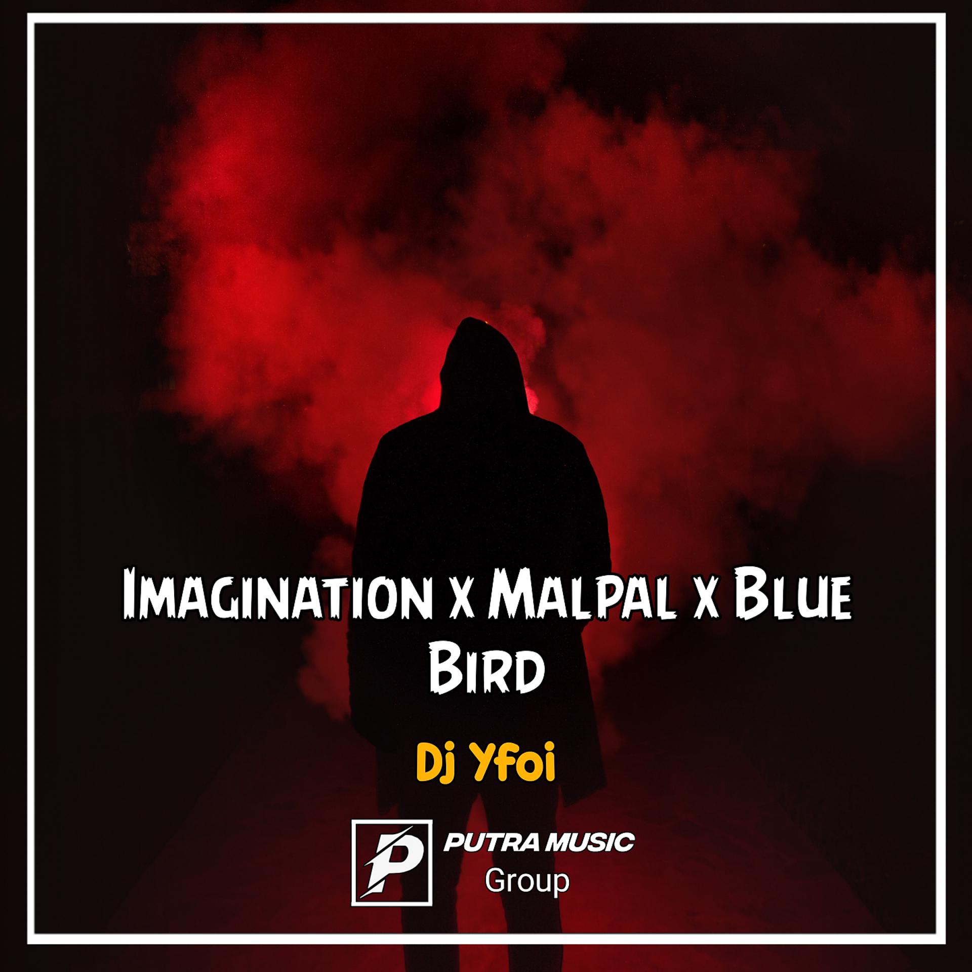 Постер альбома Imagination x malpal x blue bird