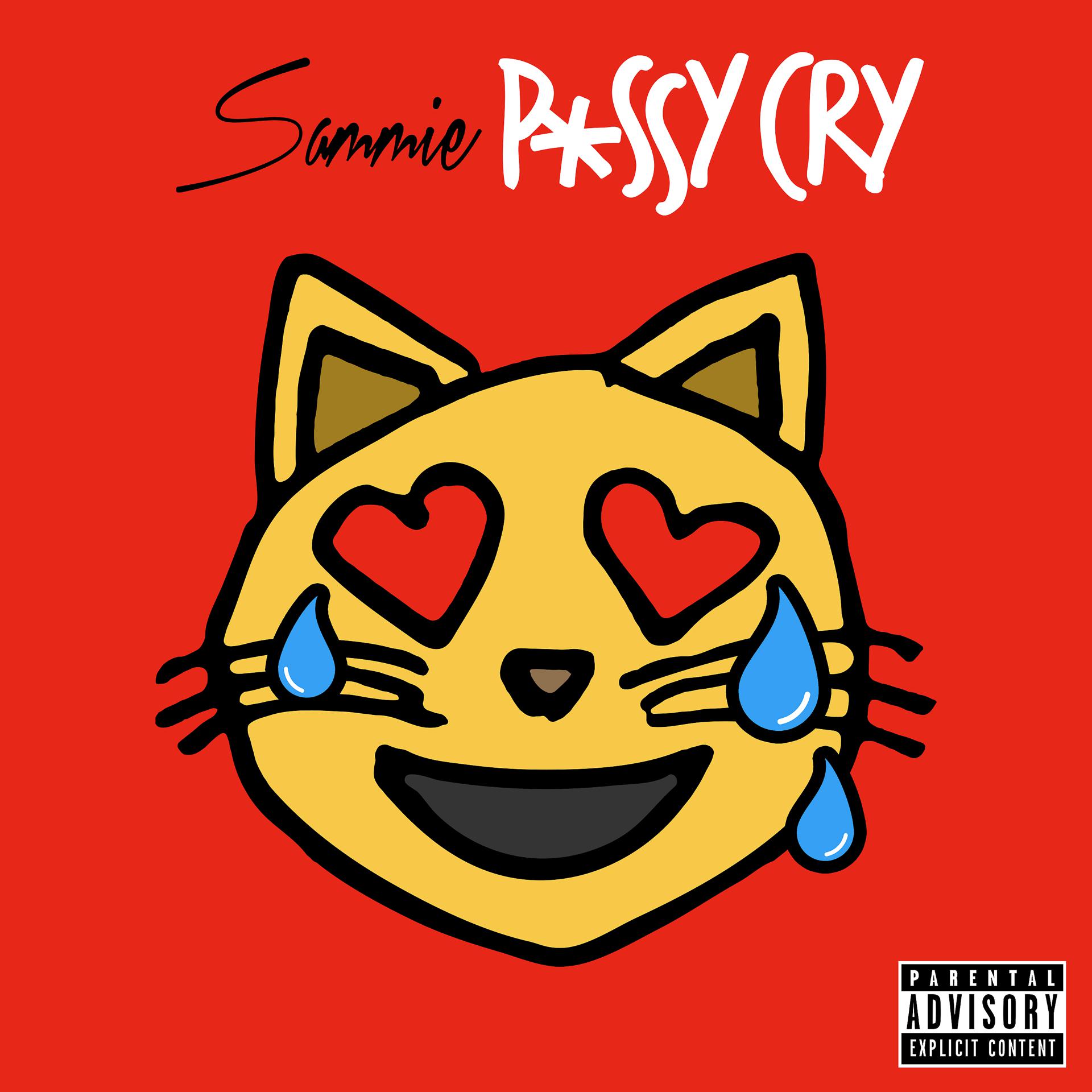 Постер альбома Pussy Cry
