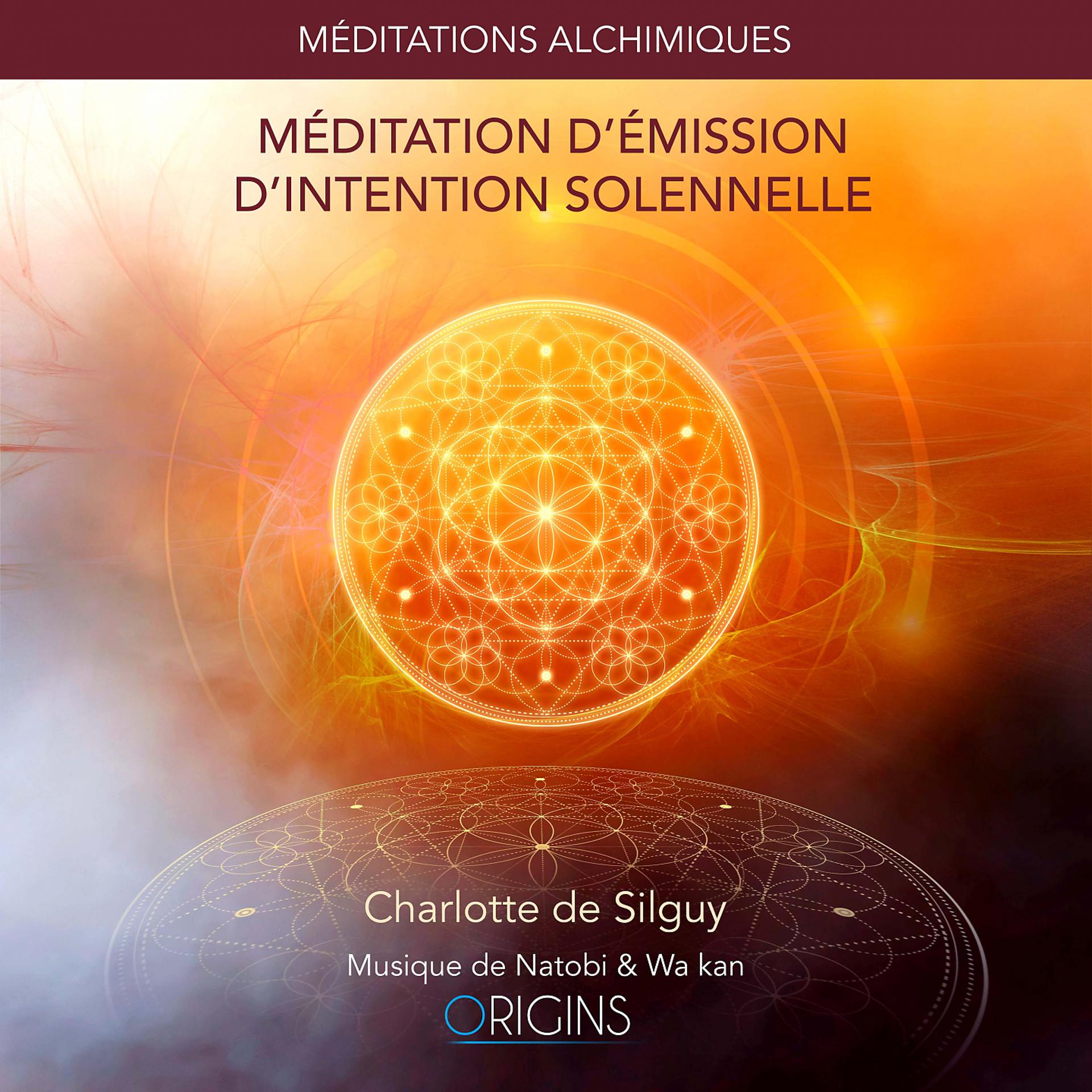 Постер альбома Méditation d'émission d'intention solennelle