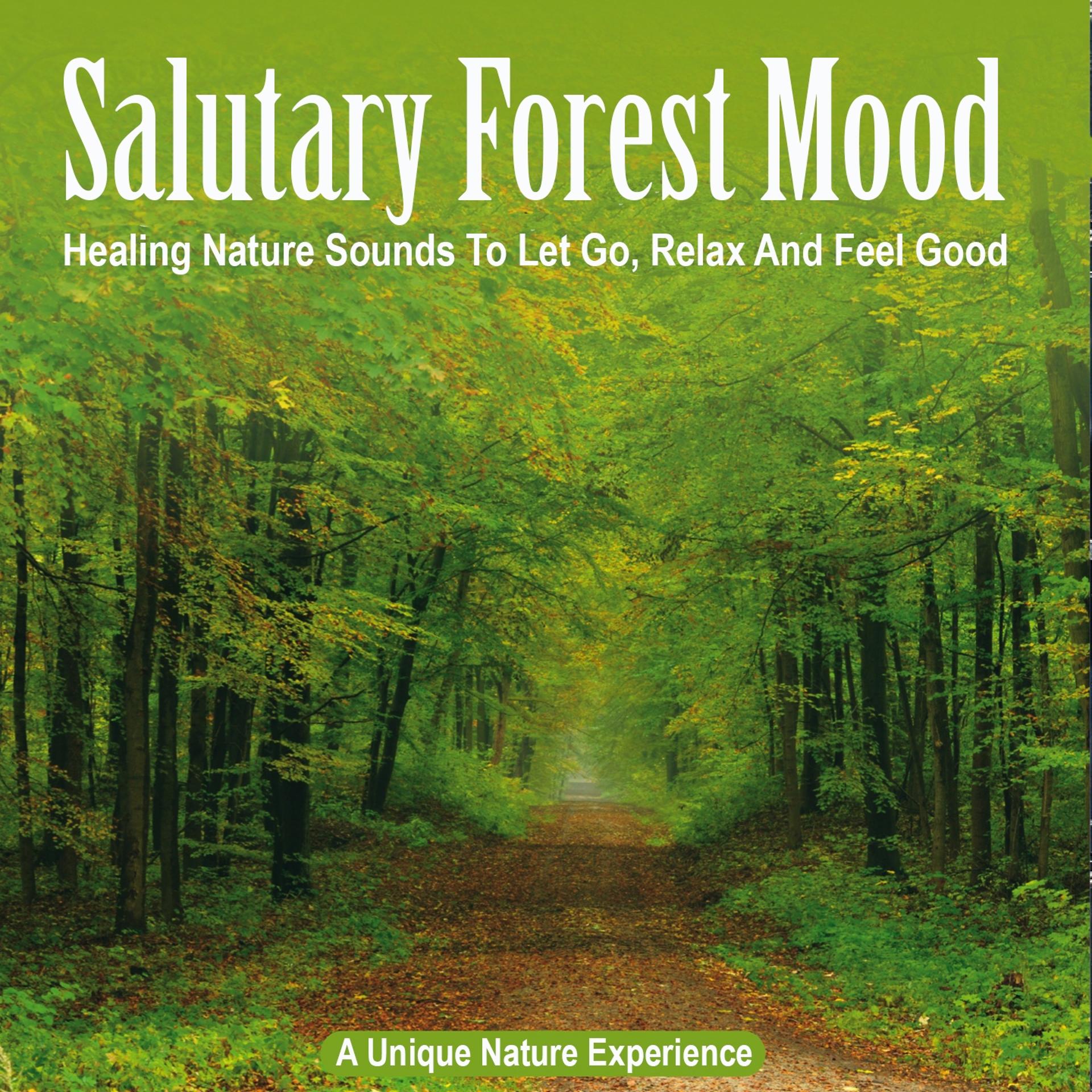 Постер альбома Salutary Forest Mood: Healing Nature Sounds to Let Go, Relax and Feel Good