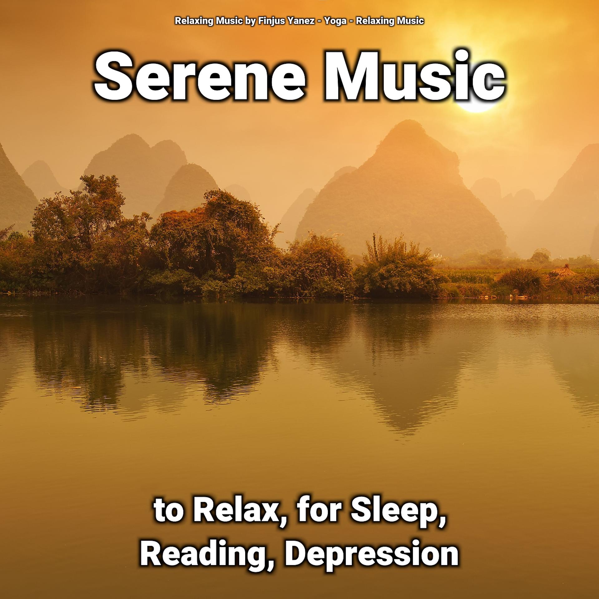 Постер альбома Serene Music to Relax, for Sleep, Reading, Depression