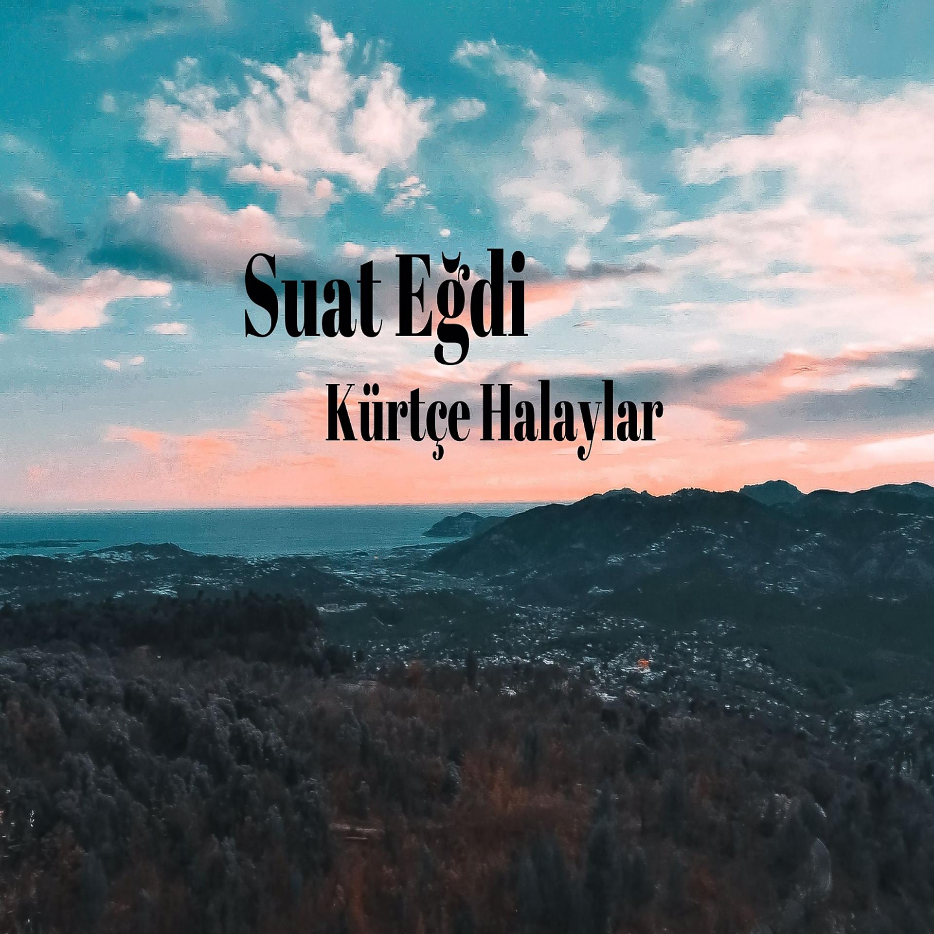 Постер альбома Kürtçe Halaylar