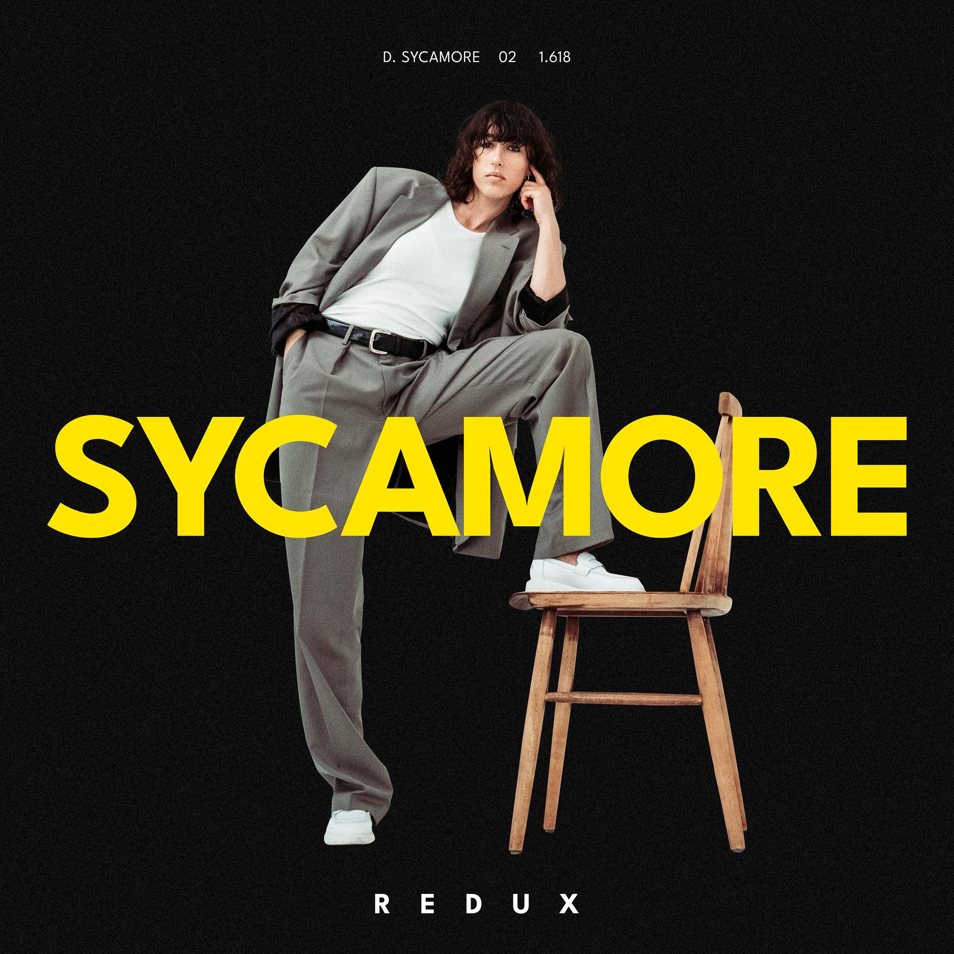 Постер альбома Sycamore Redux