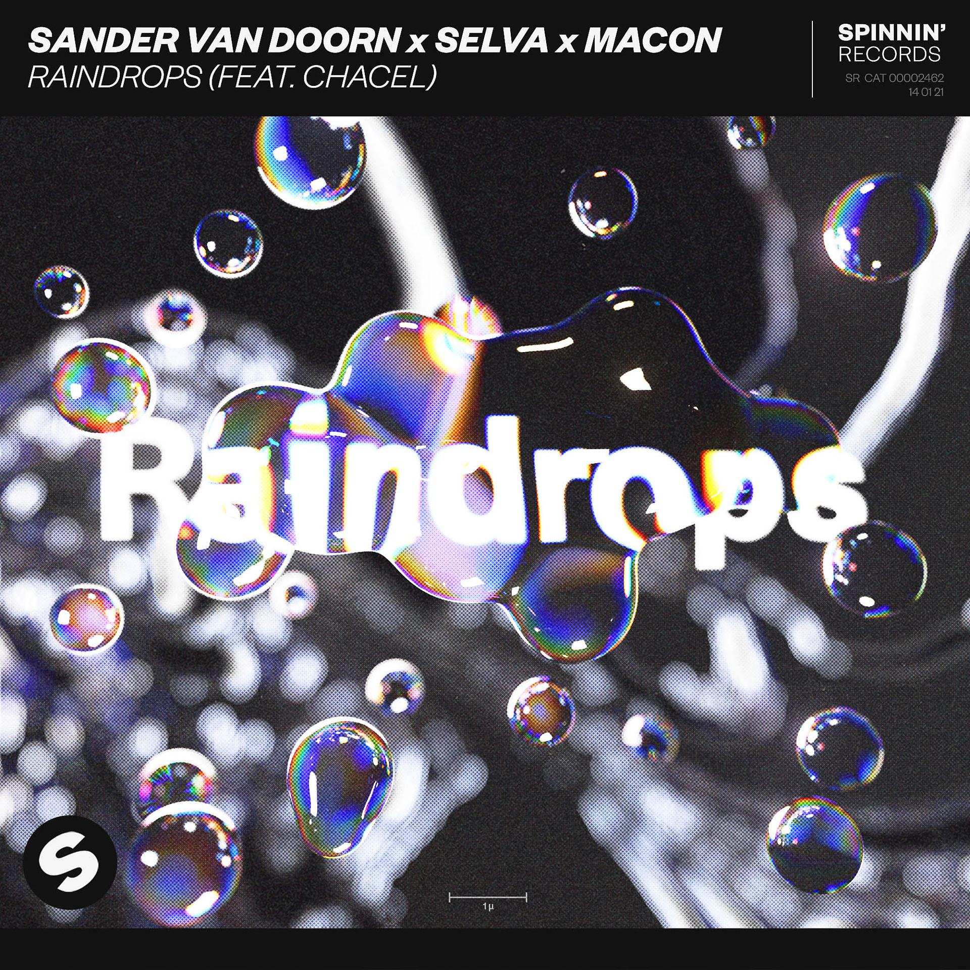 Постер альбома Raindrops (feat. Chacel)