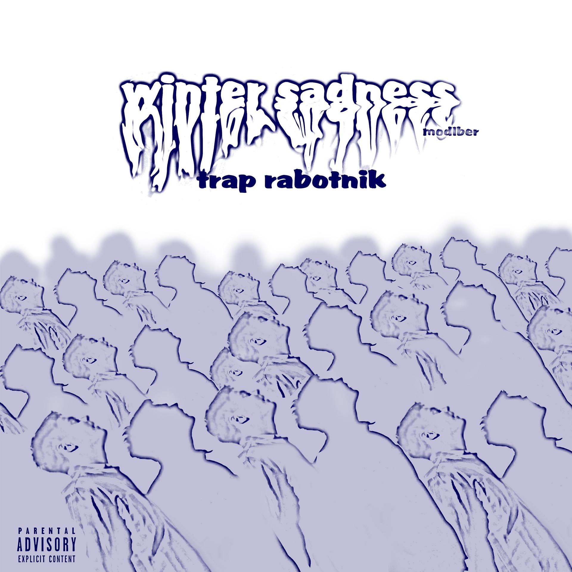 Постер альбома Winter Sadness - Trap Rabotnik
