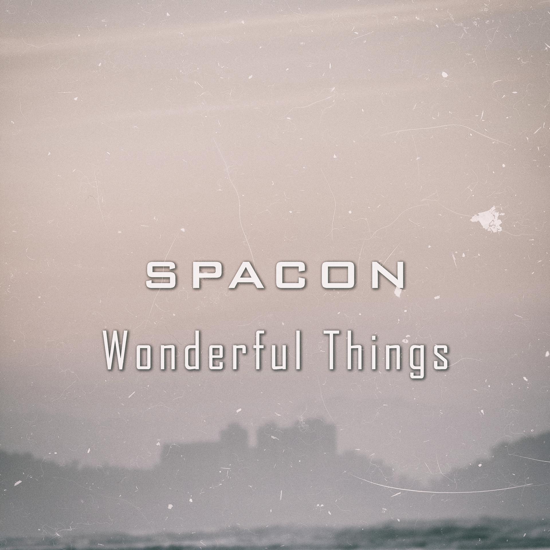 Постер альбома Wonderful Things