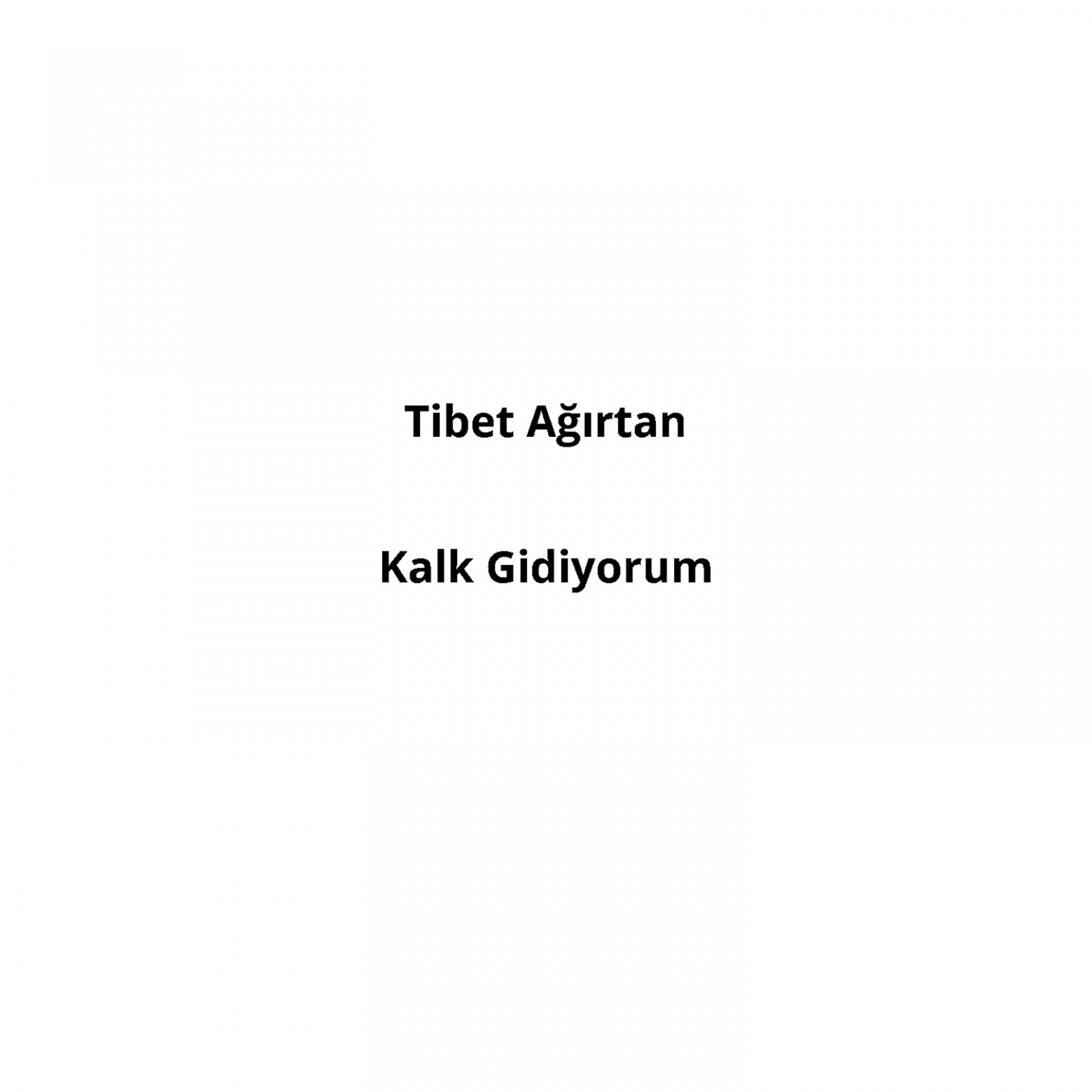Постер альбома Kalk Gidiyorum