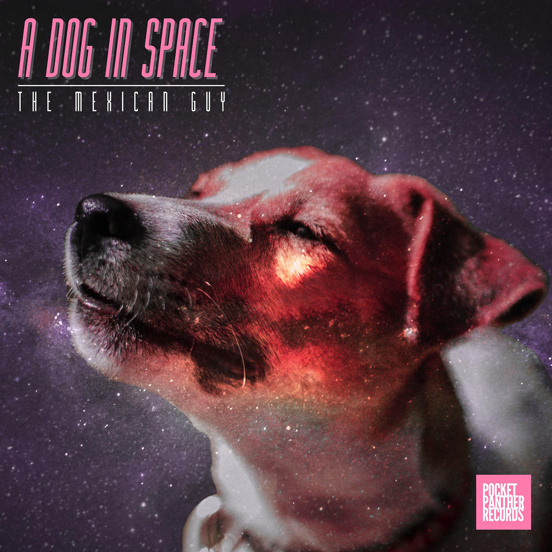 Постер альбома A Dog in Space