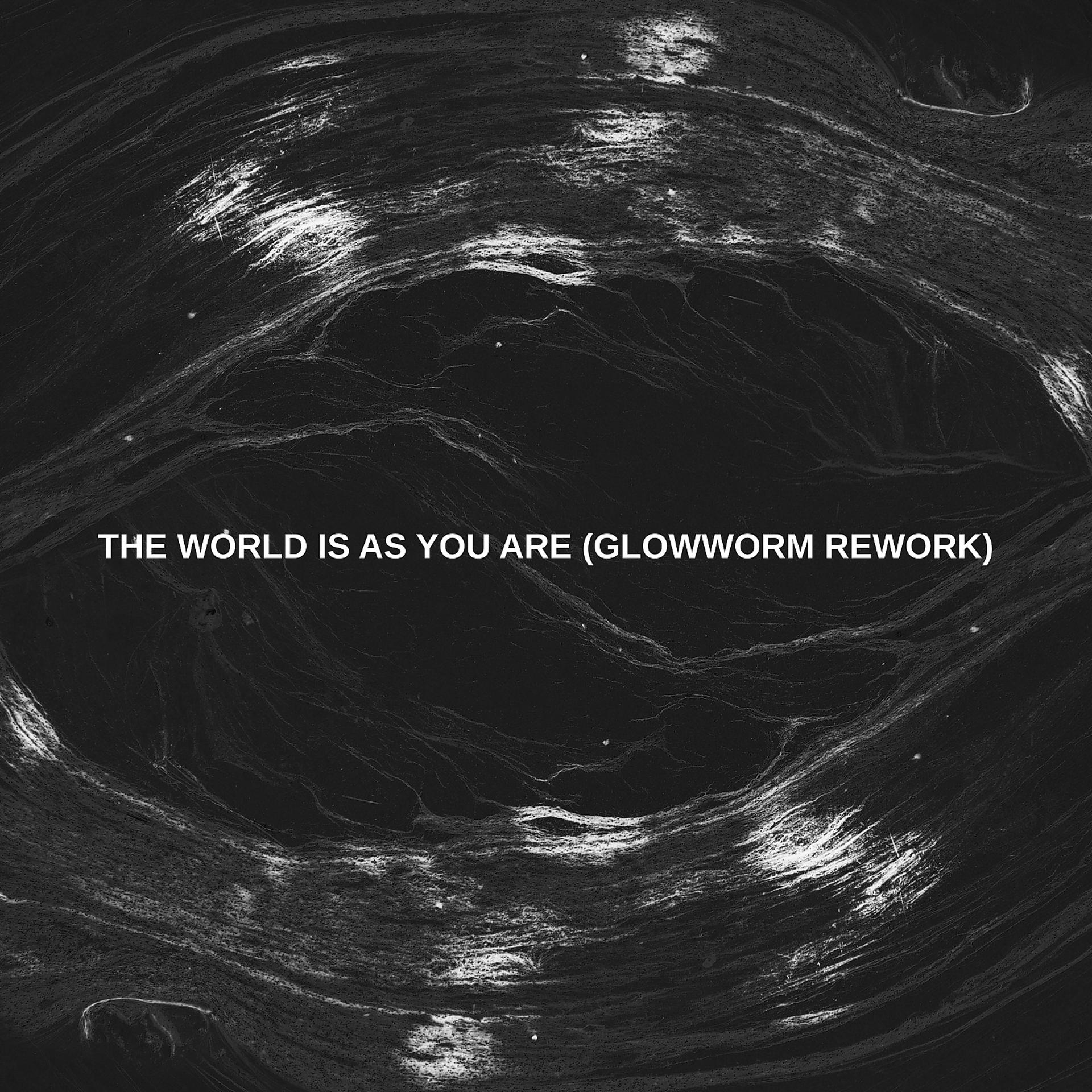 Постер альбома The World is as You Are (Glowworm Rework)