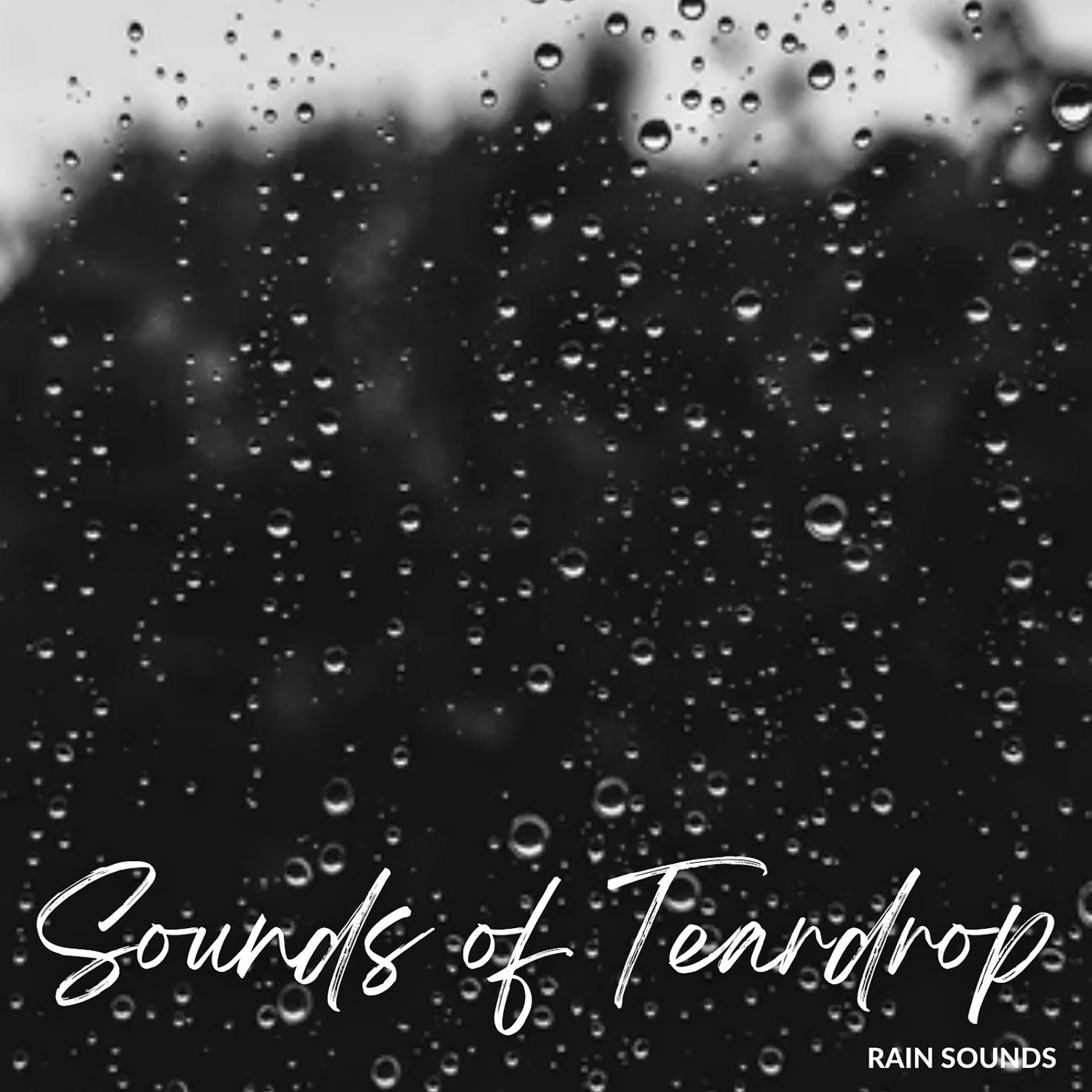 Постер альбома Rain: Sounds of Teardrop