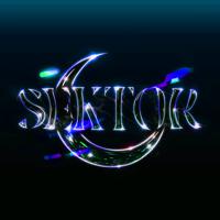 Постер альбома Sektor