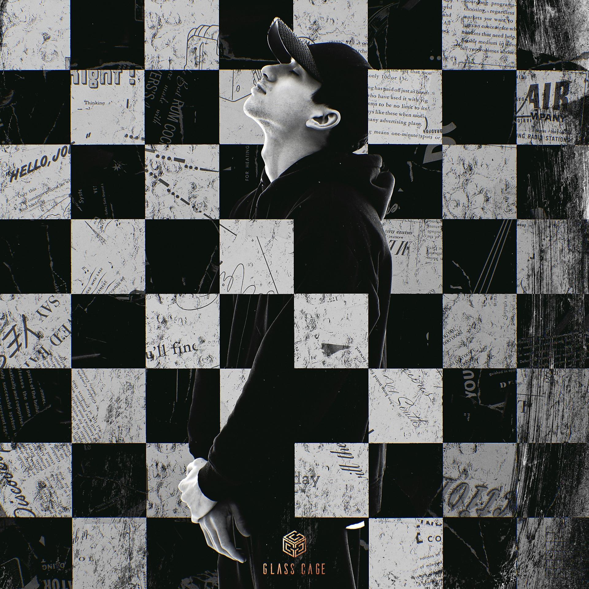 Постер альбома Шахматы