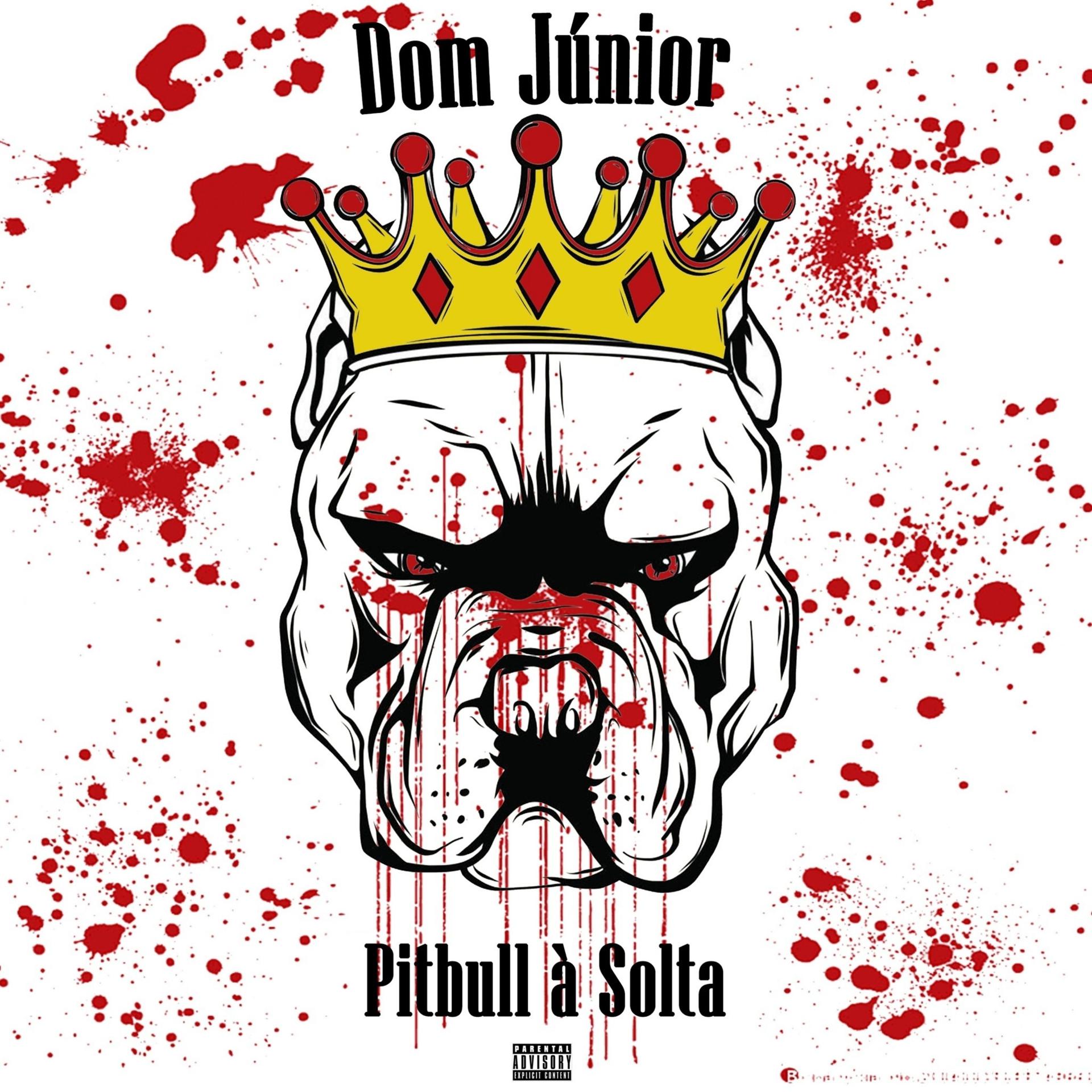 Постер альбома Pitbull à Solta