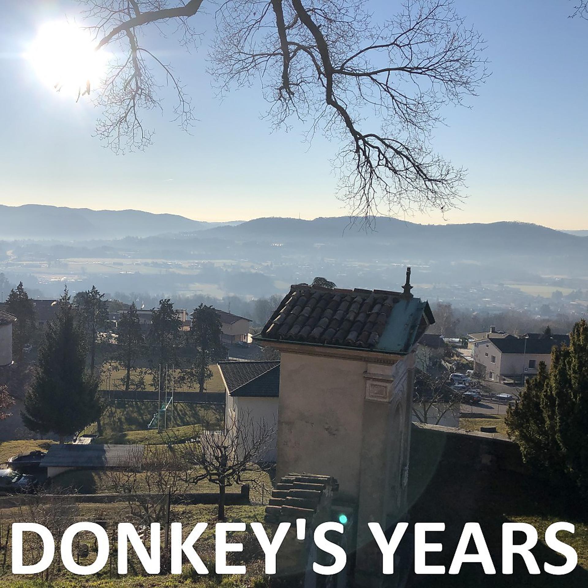 Постер альбома Donkey's Years