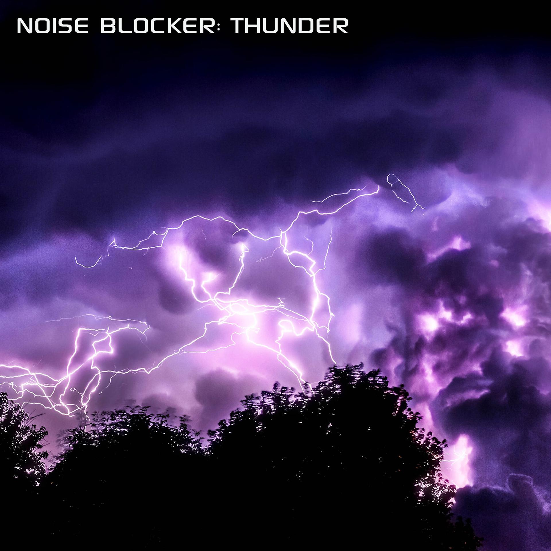 Постер альбома Noise Blocker: Thunder (feat. Discovery Nature Sound, Discovery White Noise, White Noise Soundscapes, Thunder & Rain Sounds & Discovery Forest Soundscapes)
