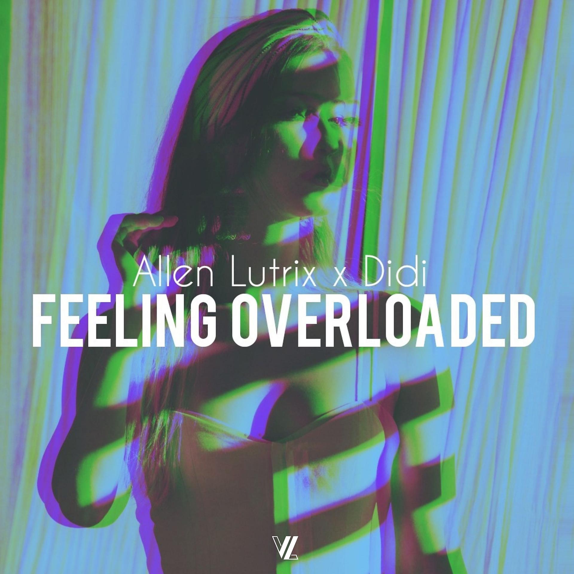 Постер альбома Feeling Overloaded (feat. Didi)