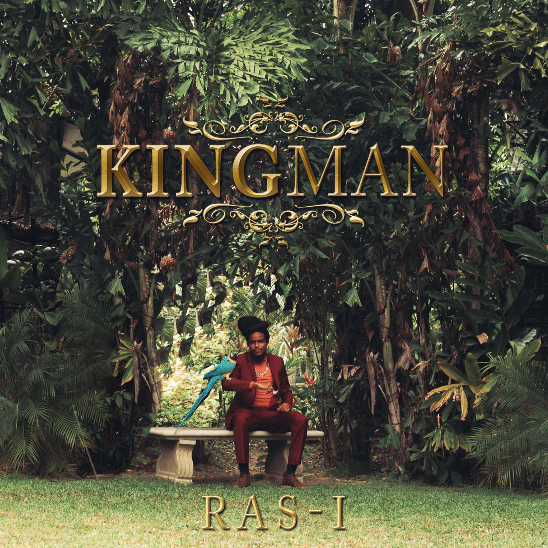 Постер альбома Kingman