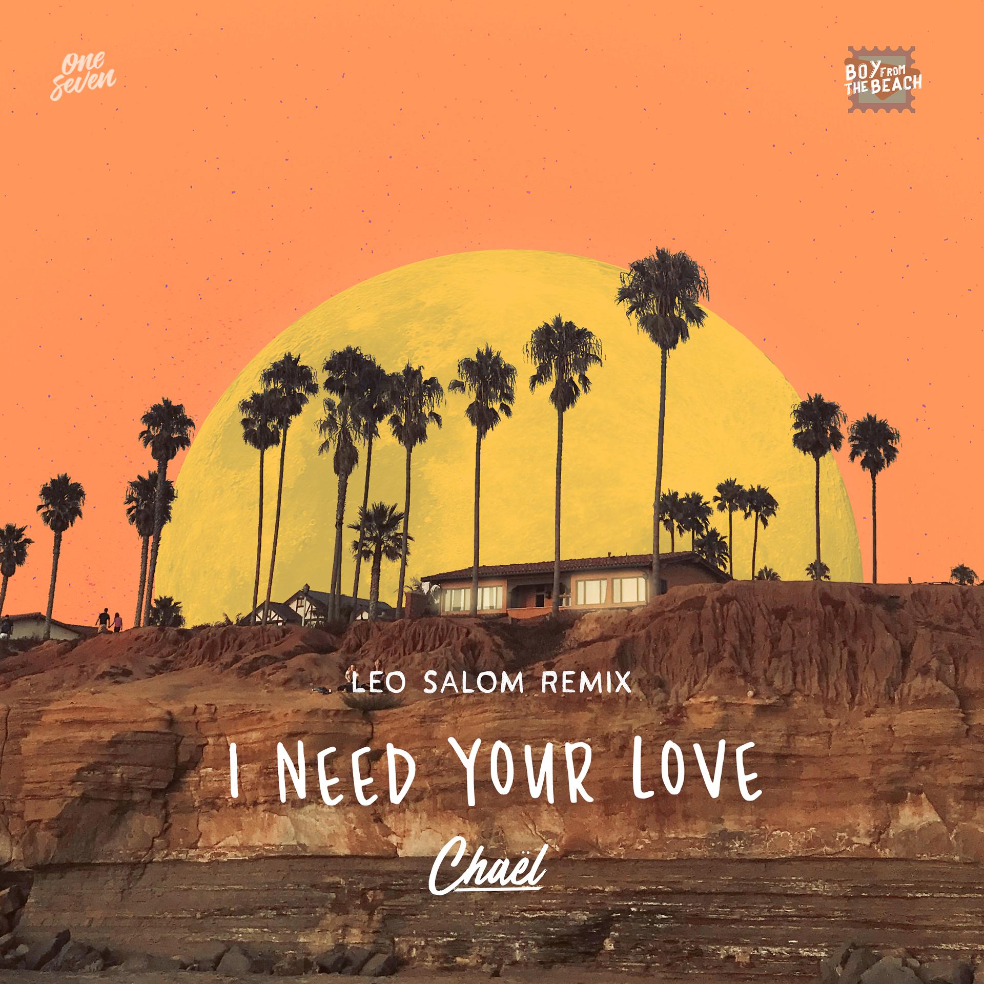 Постер альбома I Need Your Love (Leo Salom Remix)