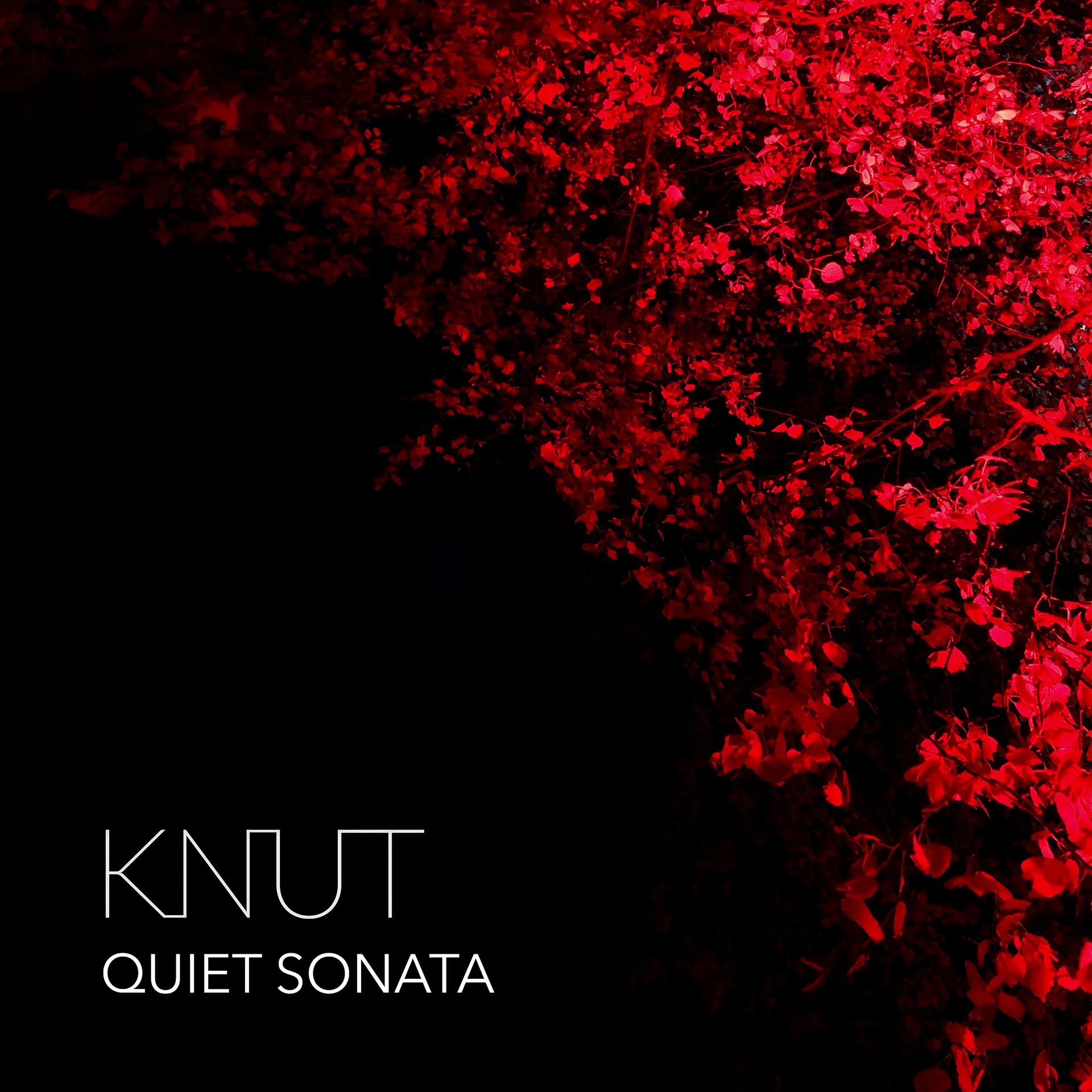 Постер альбома Quiet Sonata