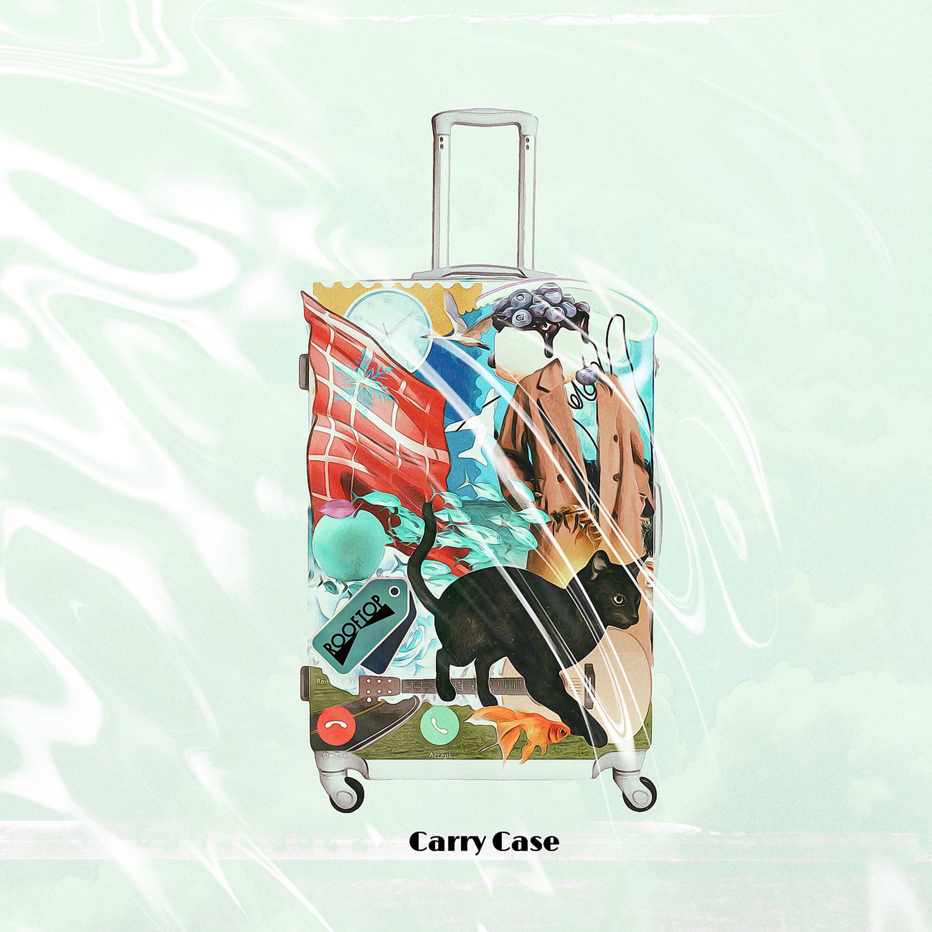 Постер альбома Carry Case