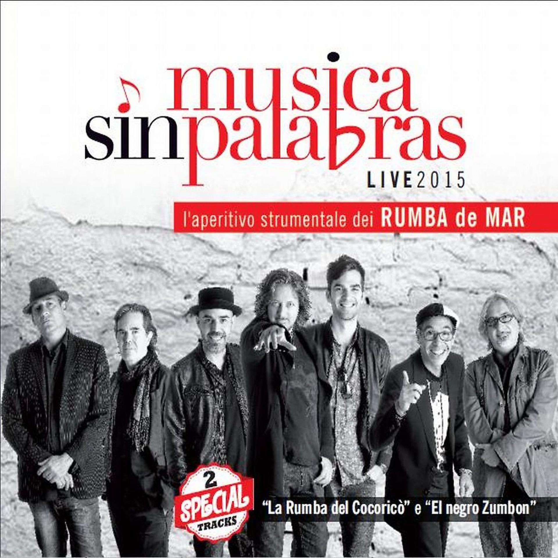 Постер альбома Musica Sin Palabras