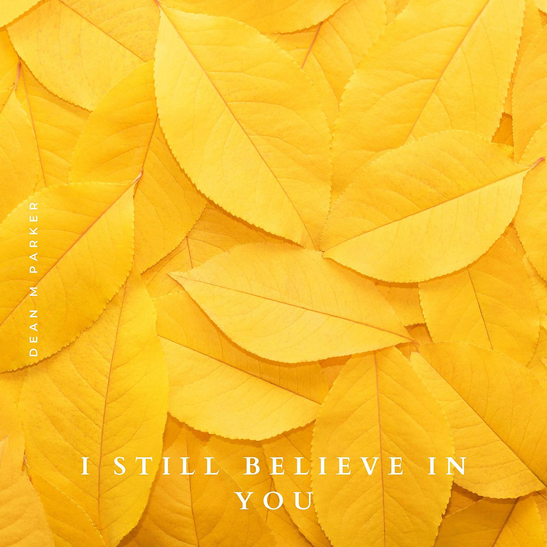 Постер альбома I Still Believe In You