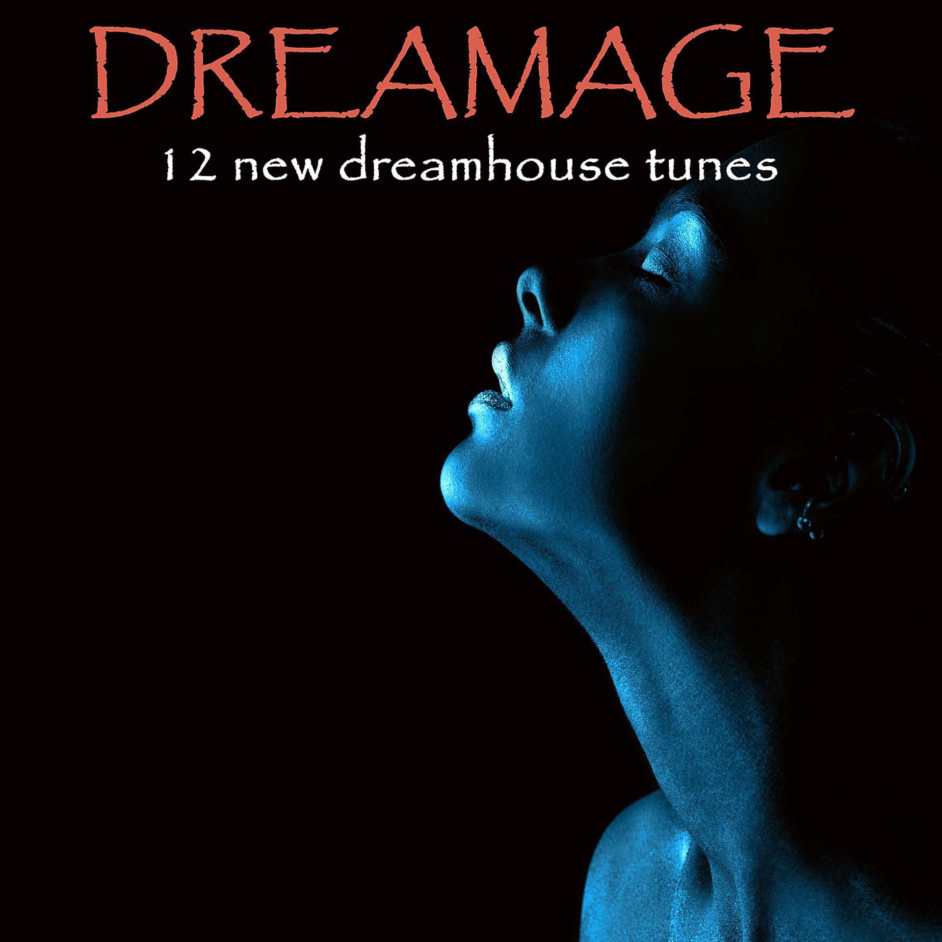 Постер альбома Dream Age - 12 New Dream House Tunes