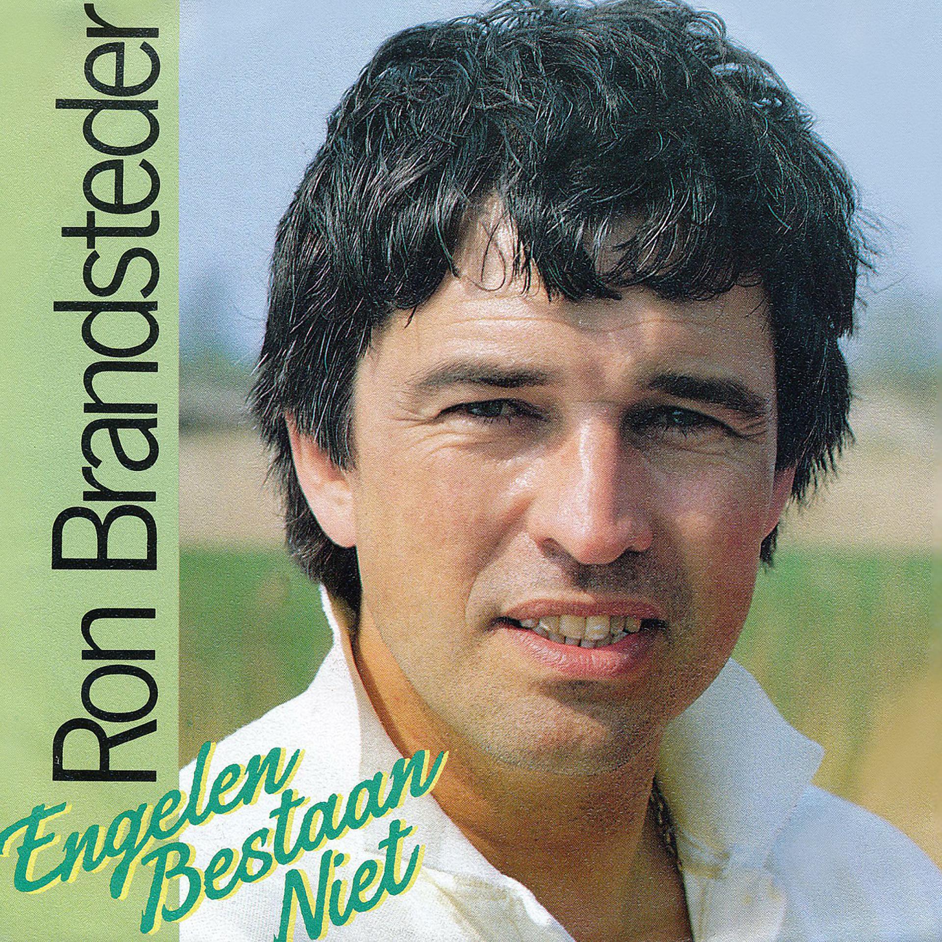 Постер альбома Engelen Bestaan Niet (Meezing Versie)