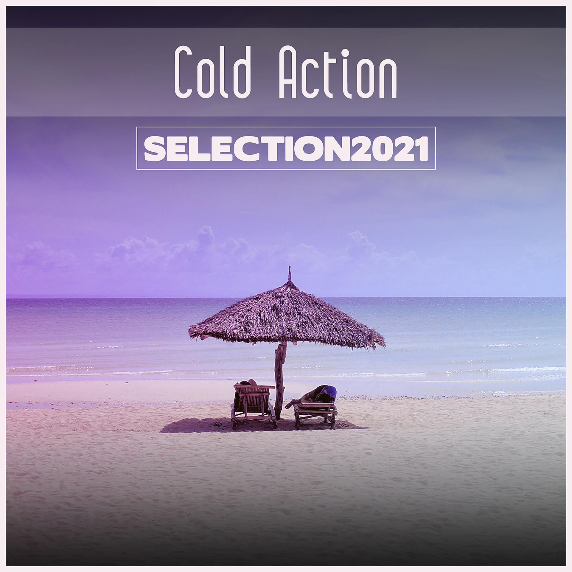 Постер альбома Cold Action Selection 2021