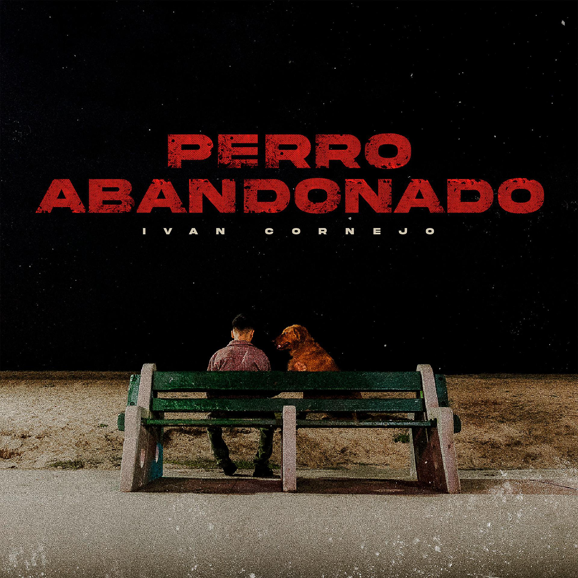 Постер альбома Perro Abandonado