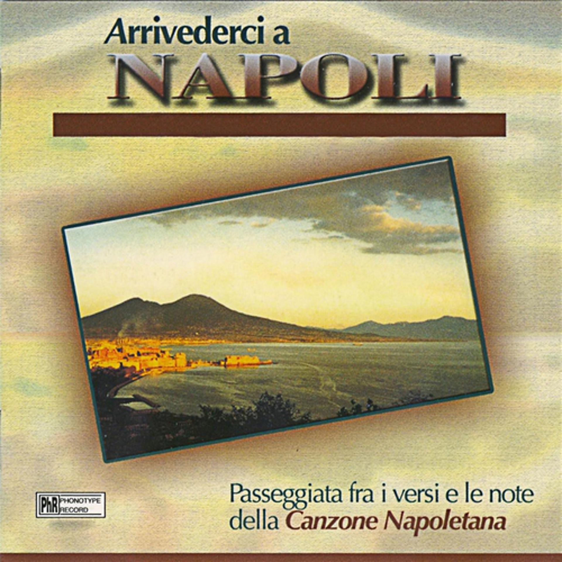 Постер альбома Arrivederci a Napoli