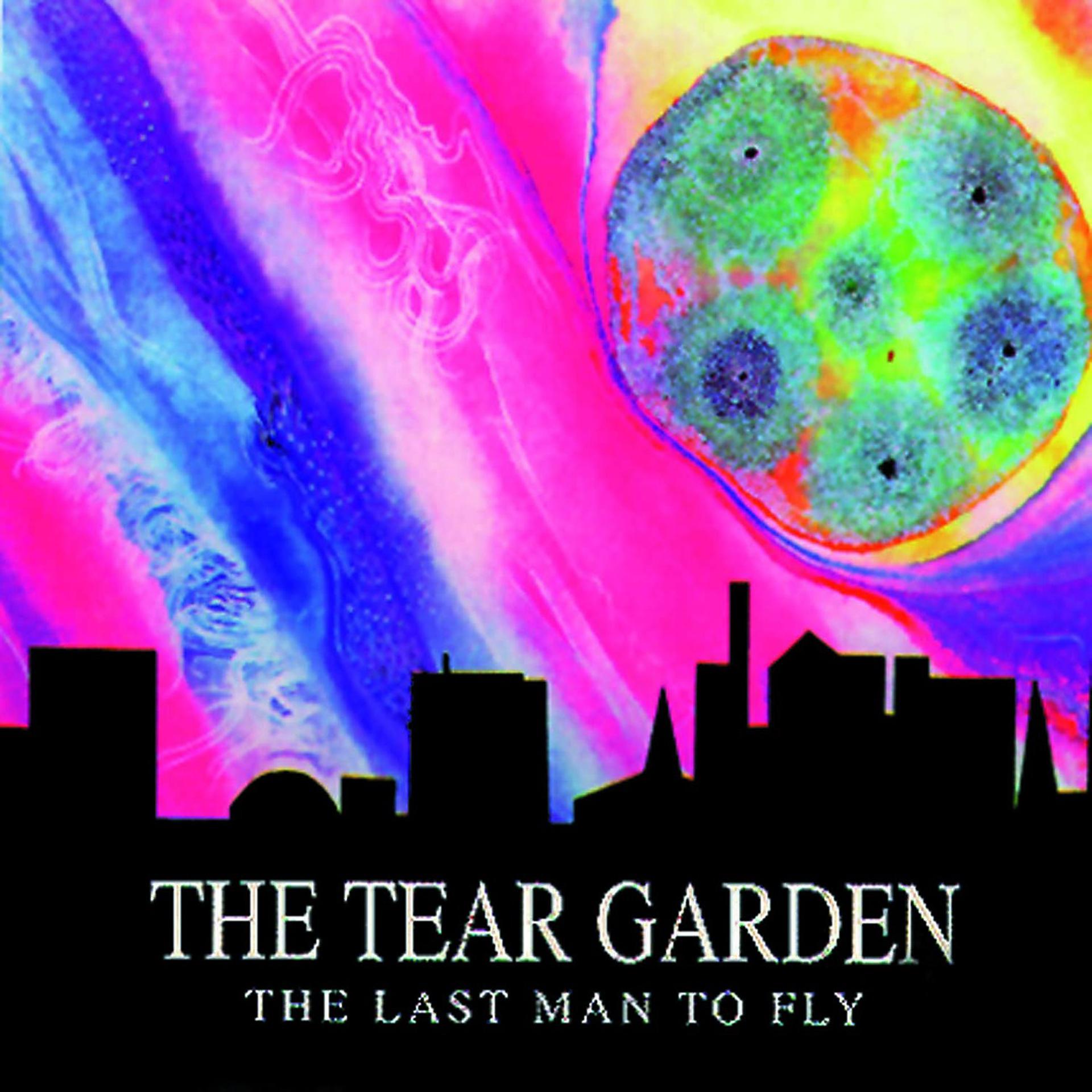 Постер альбома The Last Man To Fly