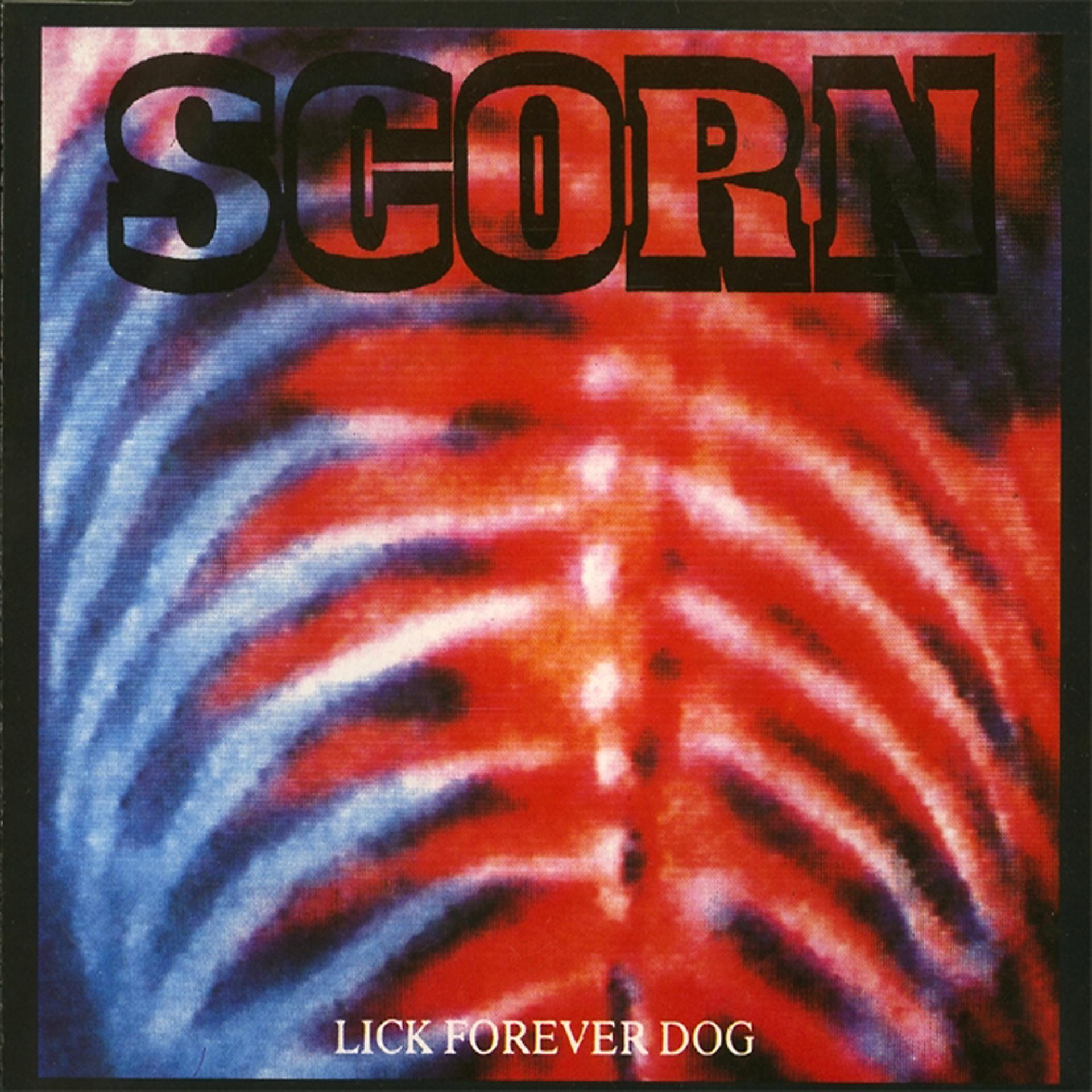 Постер альбома Lick Forever Dog